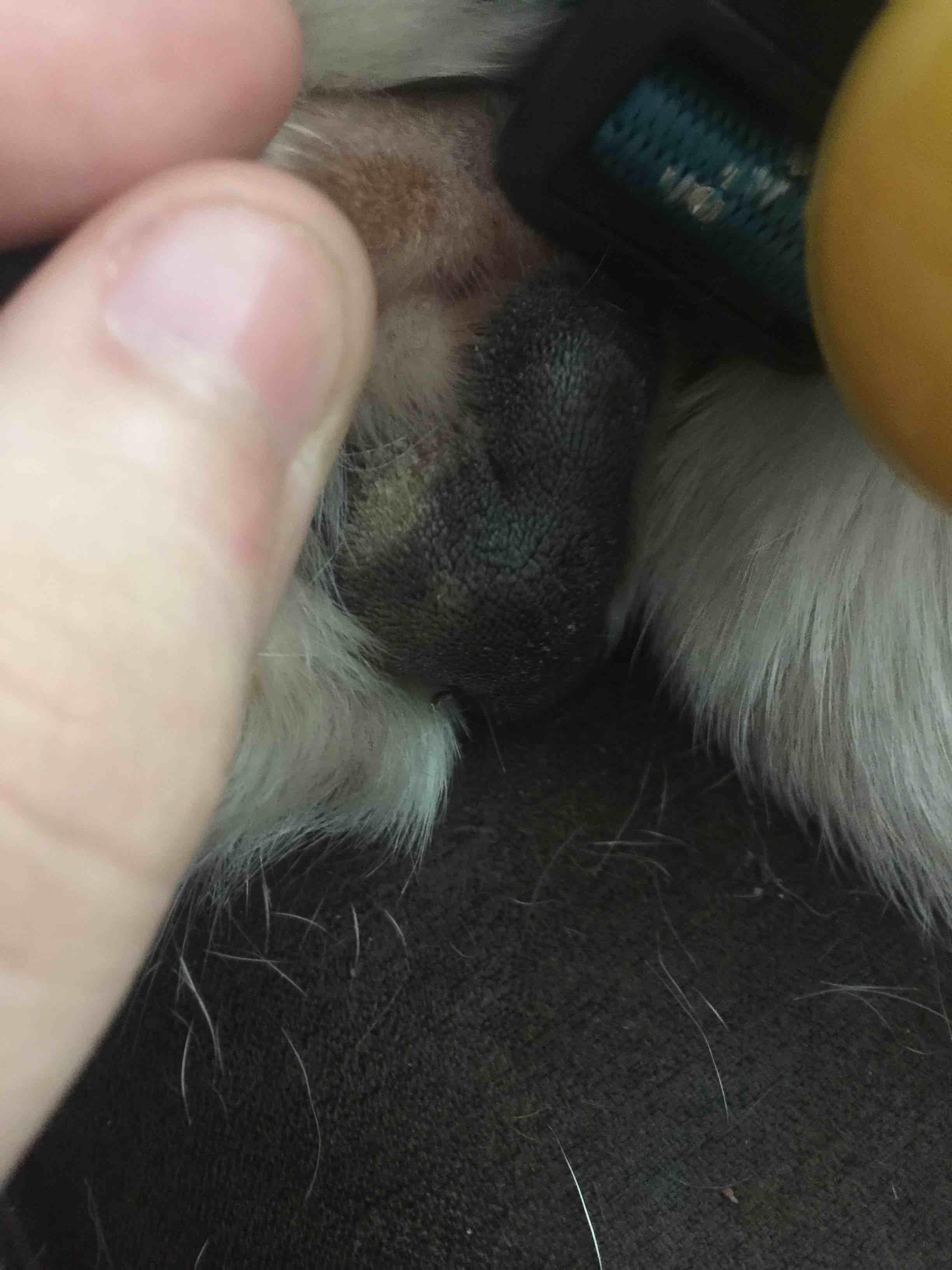 Question details sensitive content