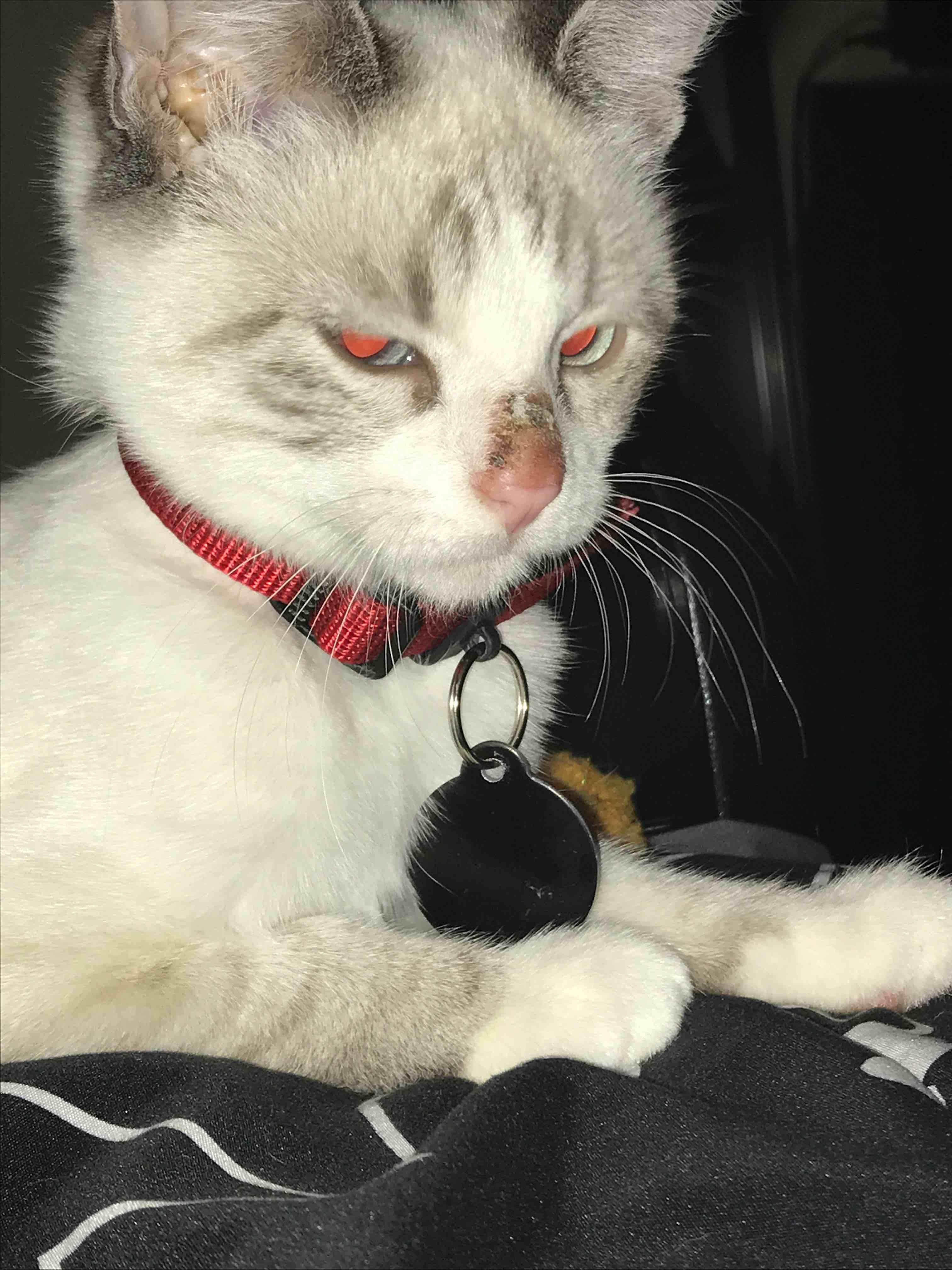 Question details sensitive content