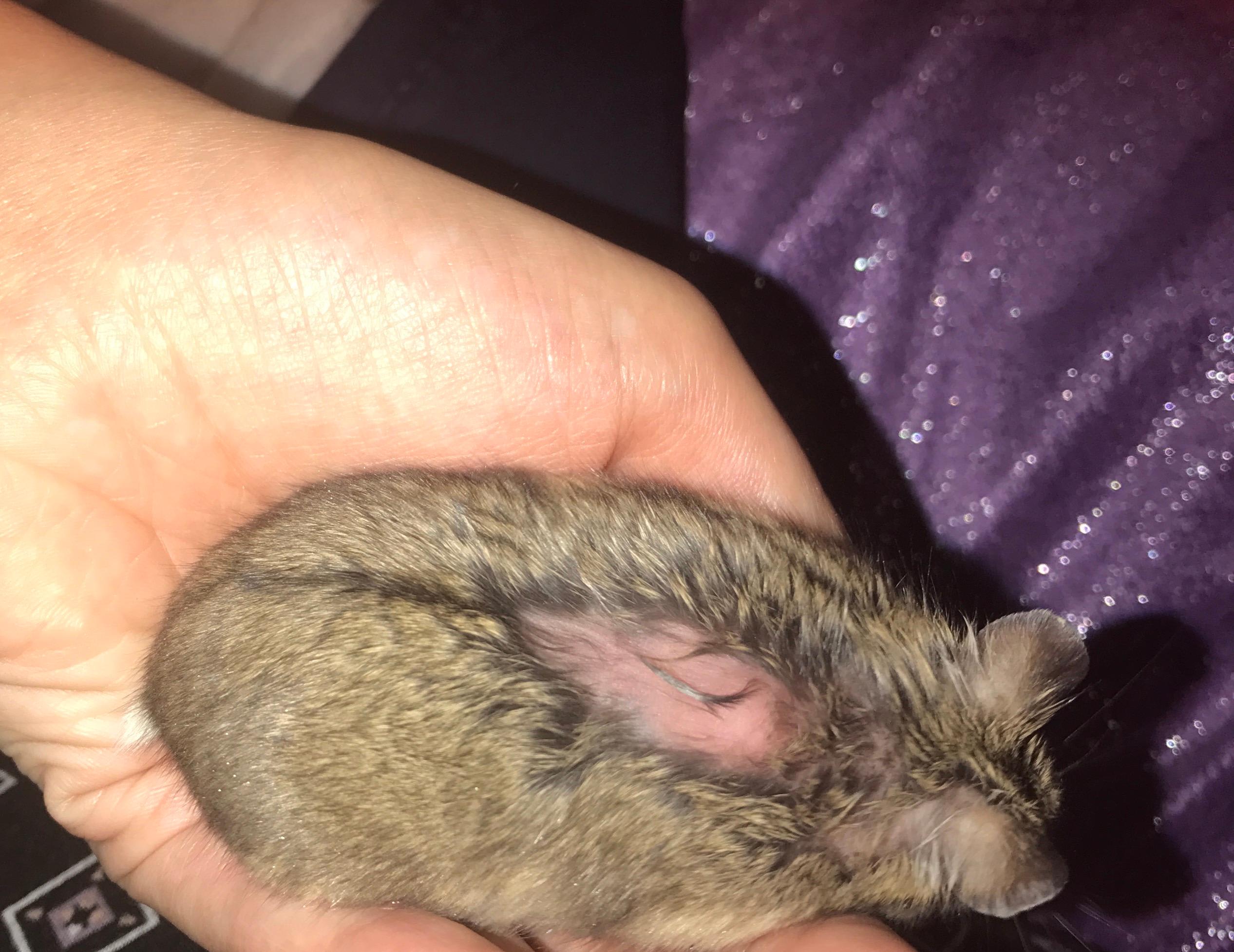 Question details sensitive content