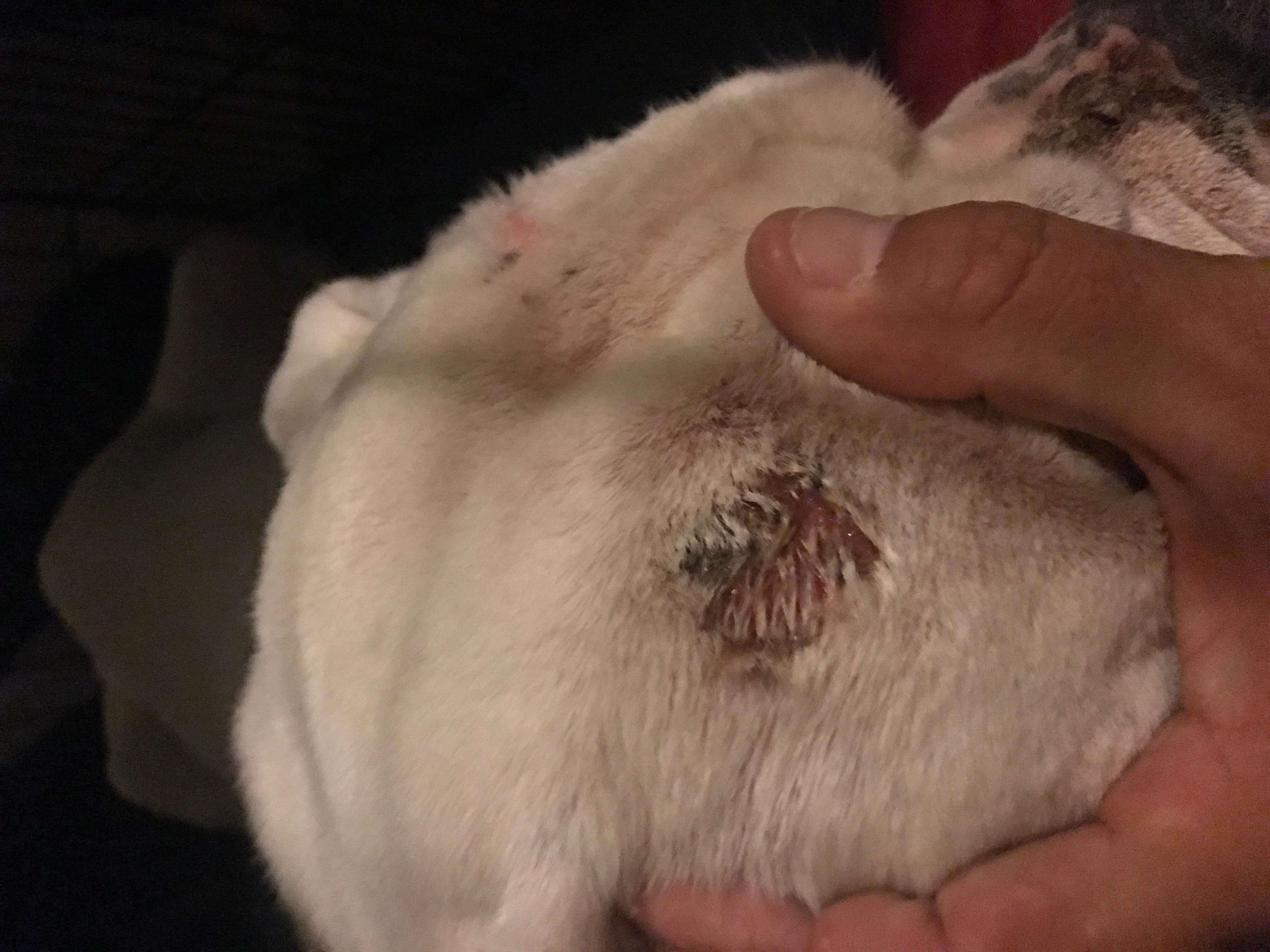 Question details sensitive content