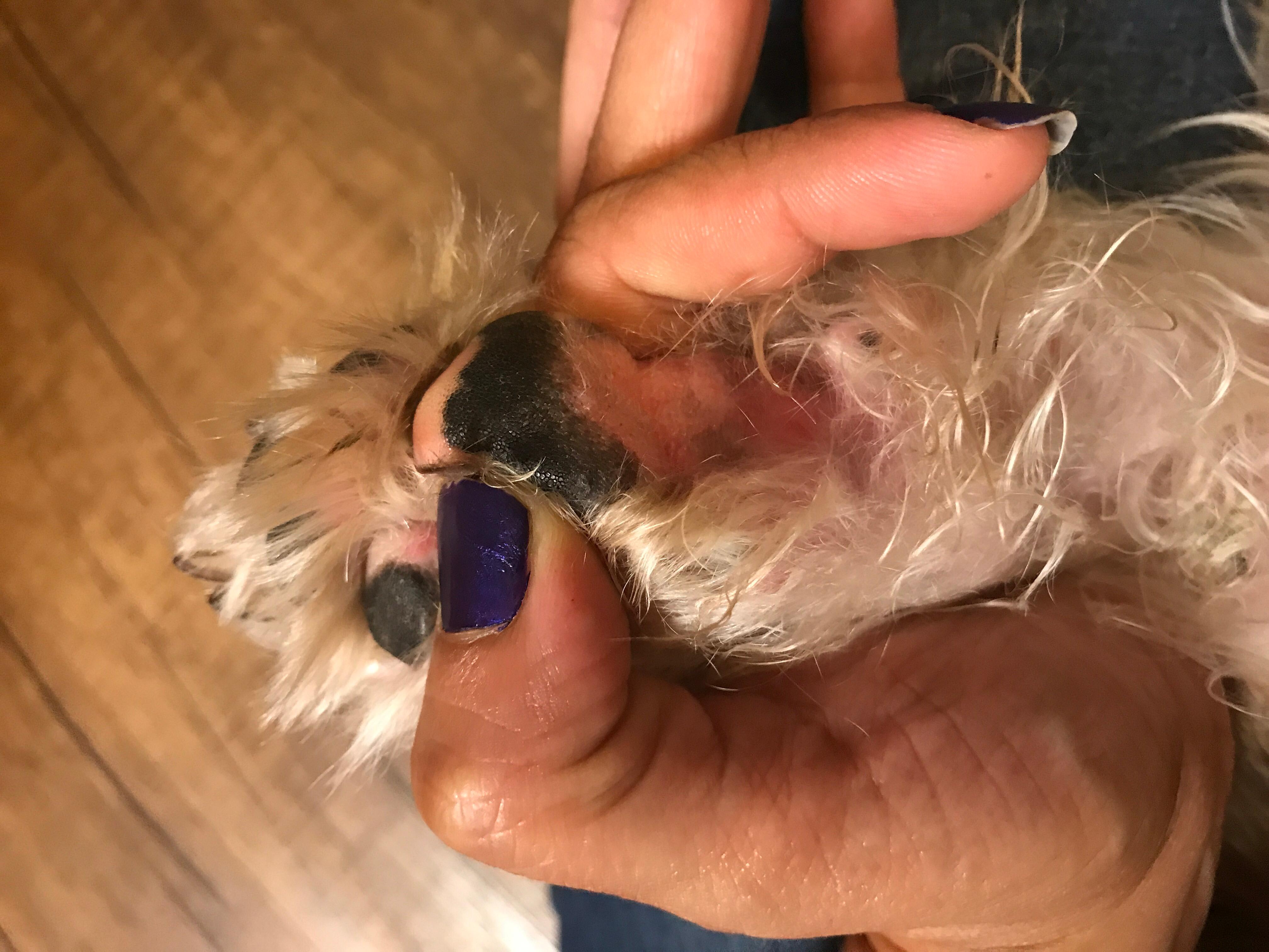 Question details sensitive content