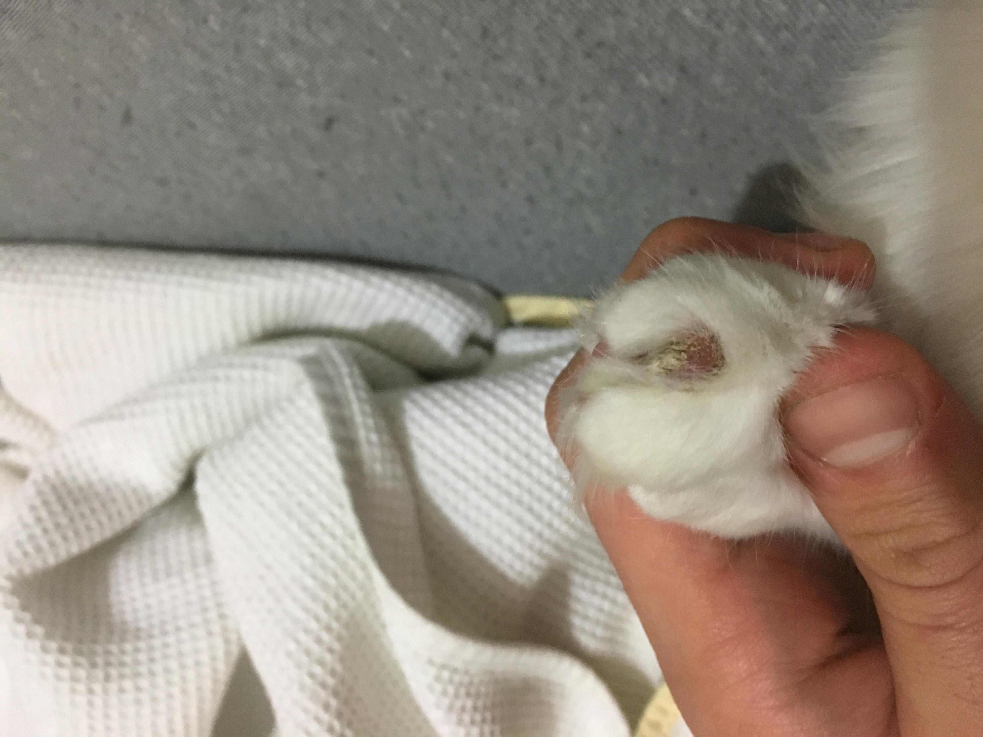 Question details sensitive content