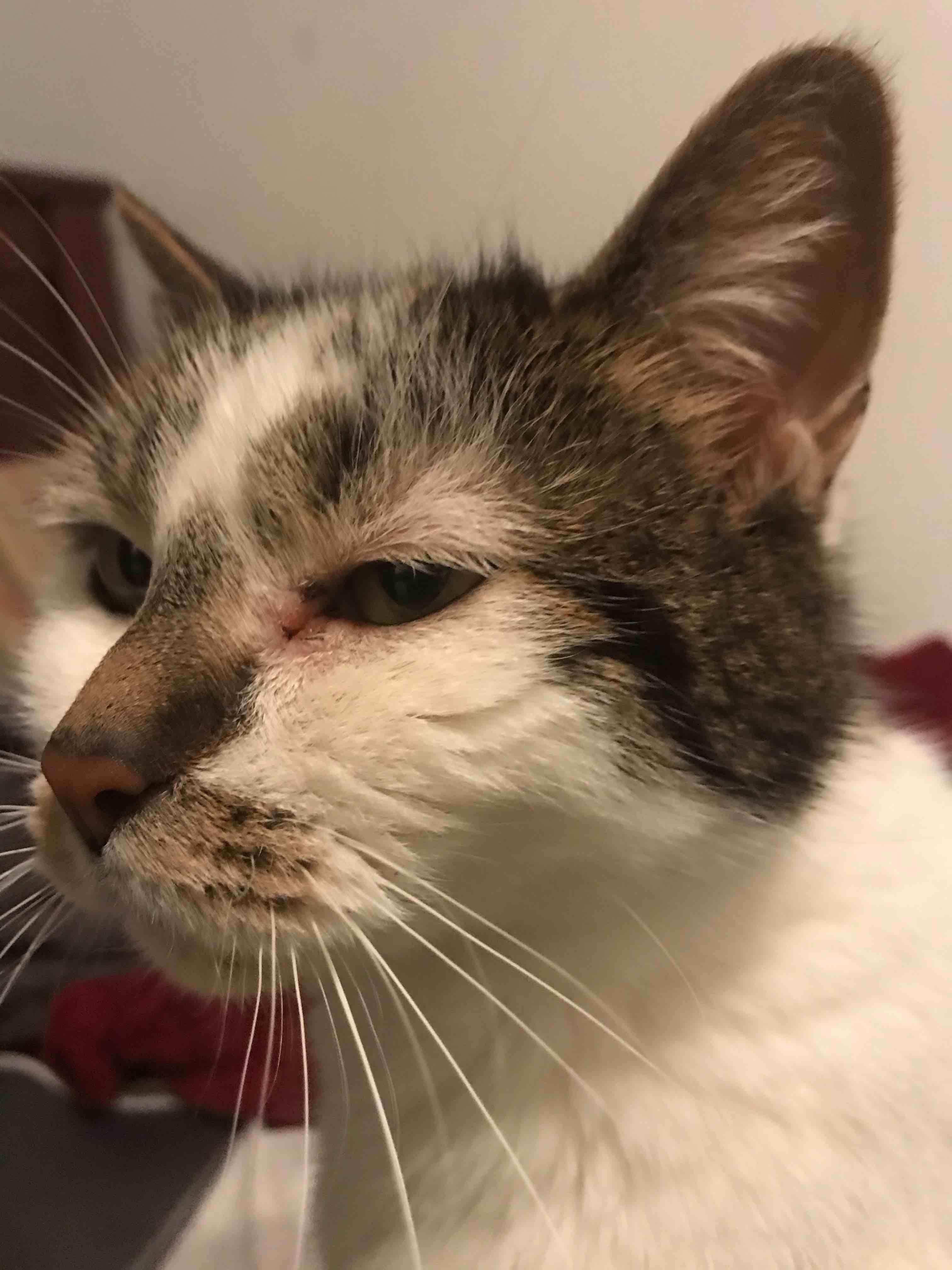 Question details sensitive content