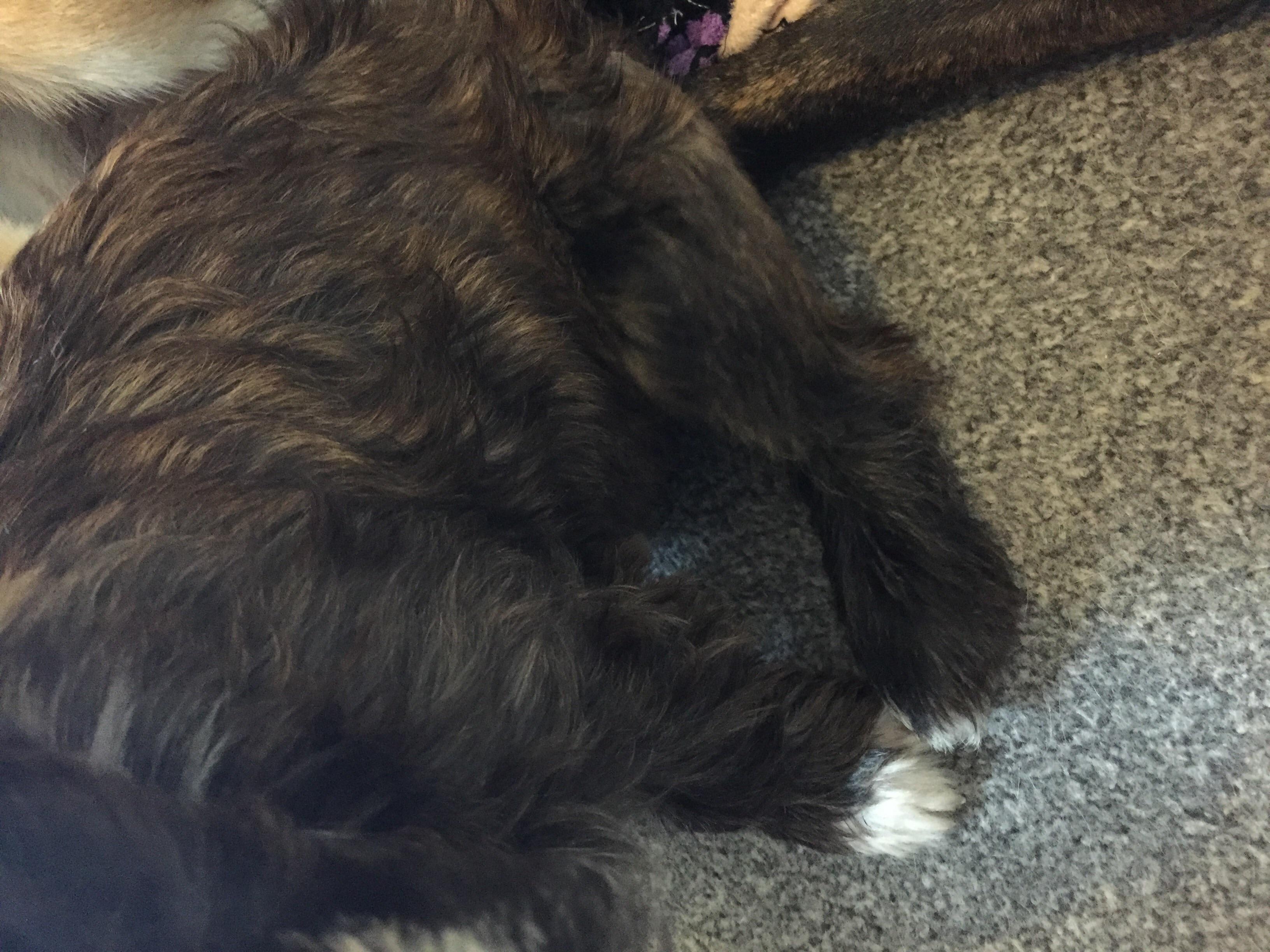 Question details sensitive content