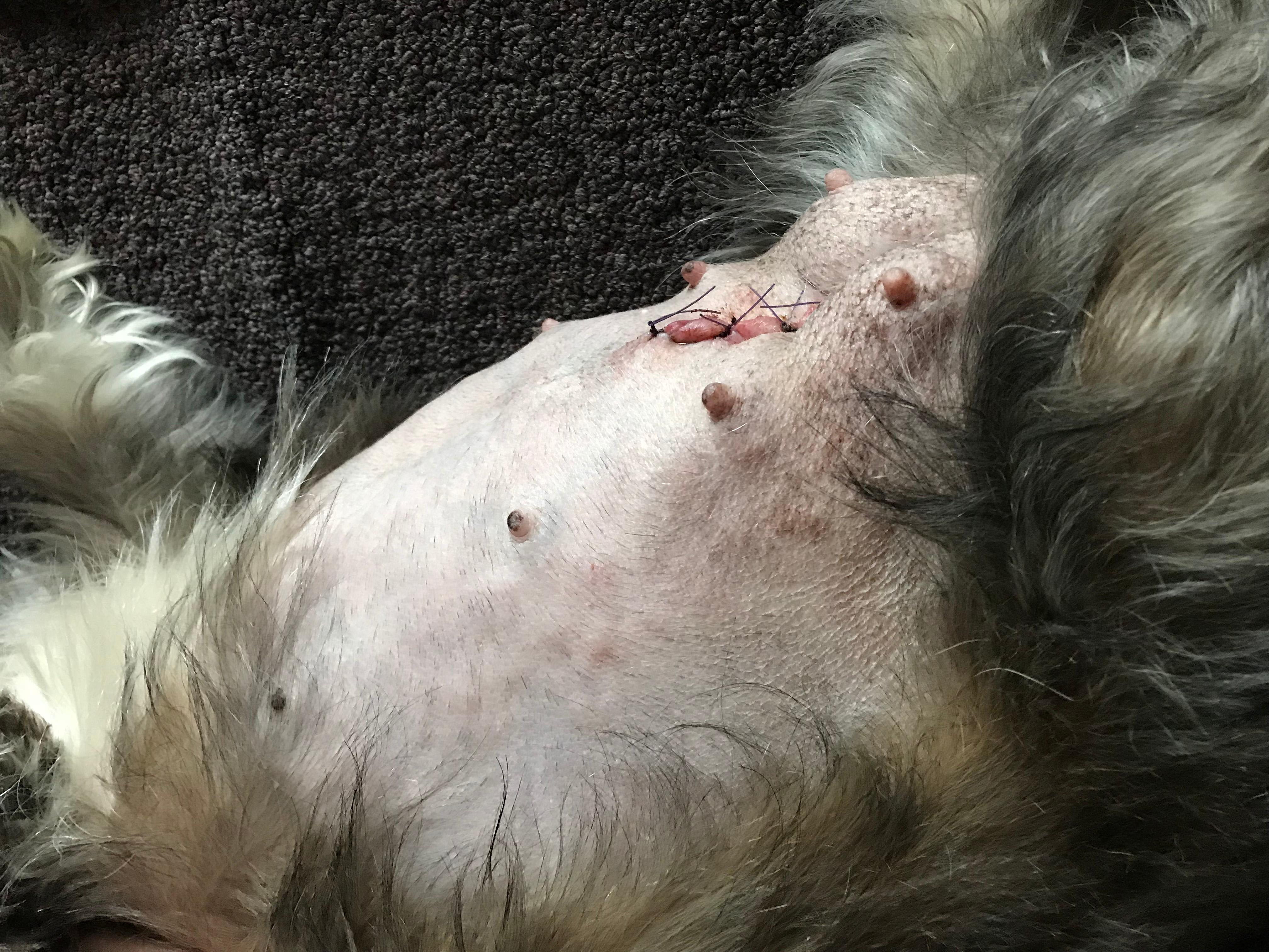 Question details sensitive content