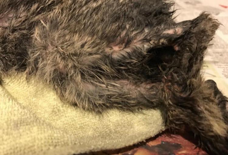 Question details sensitive content