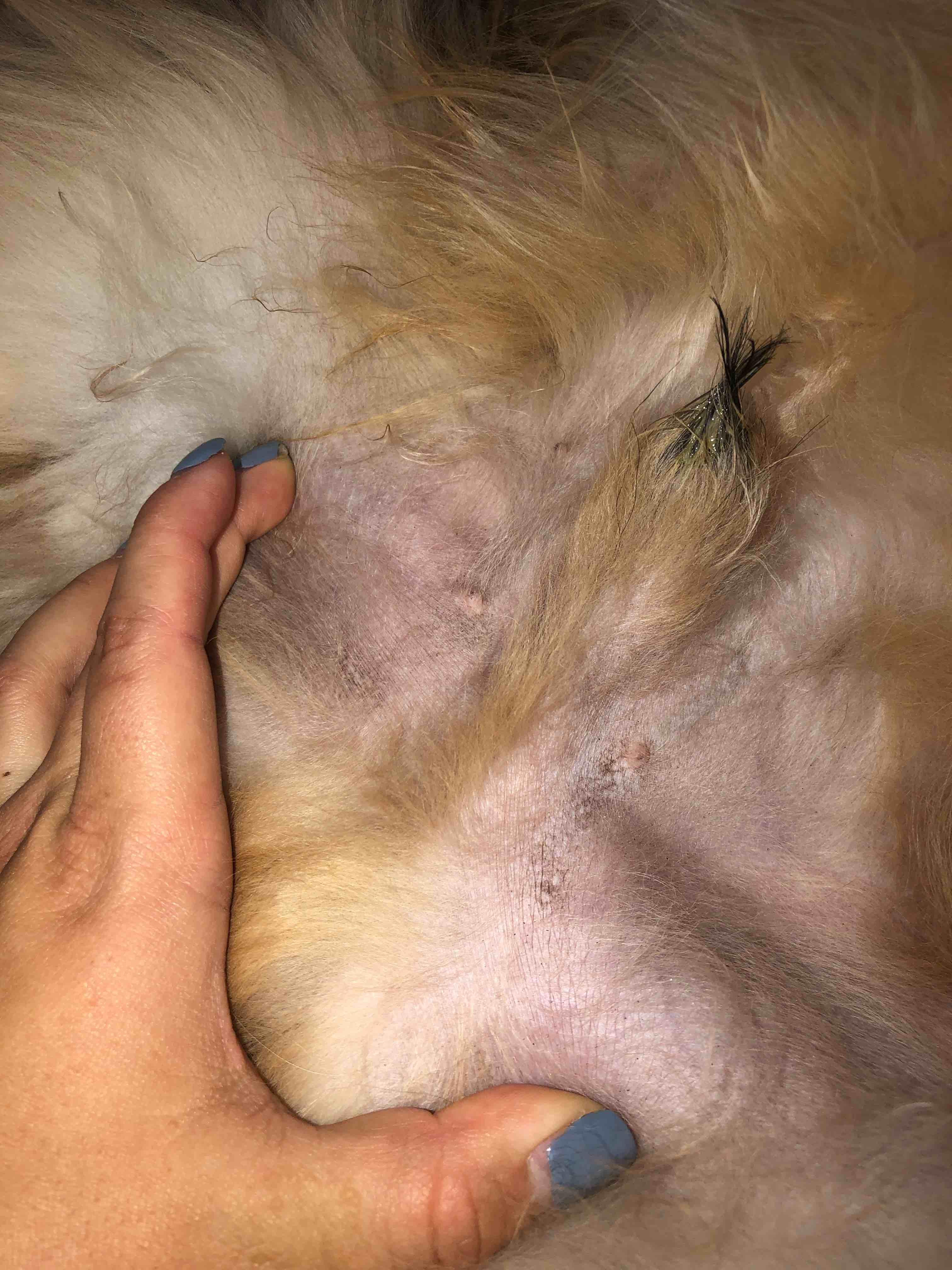 Question details sensitive content