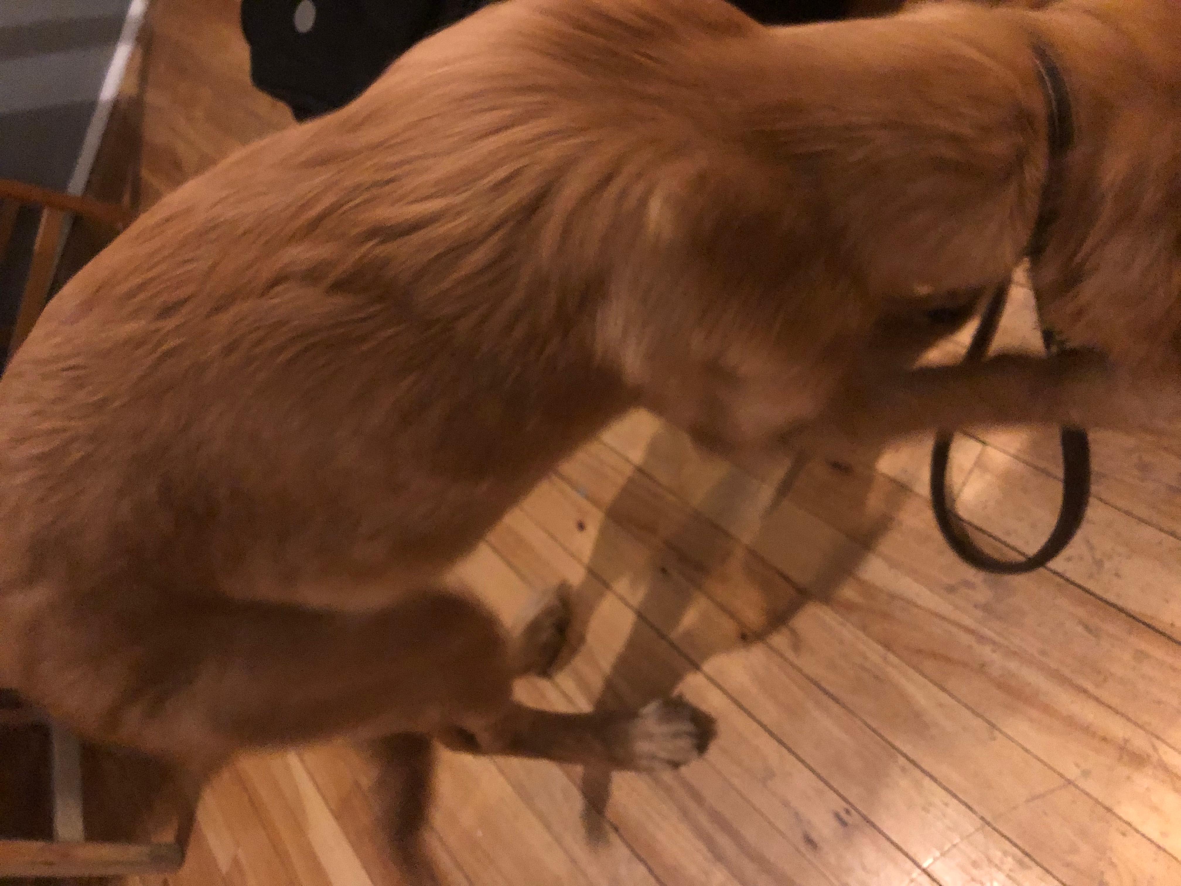 Question details sensitive content