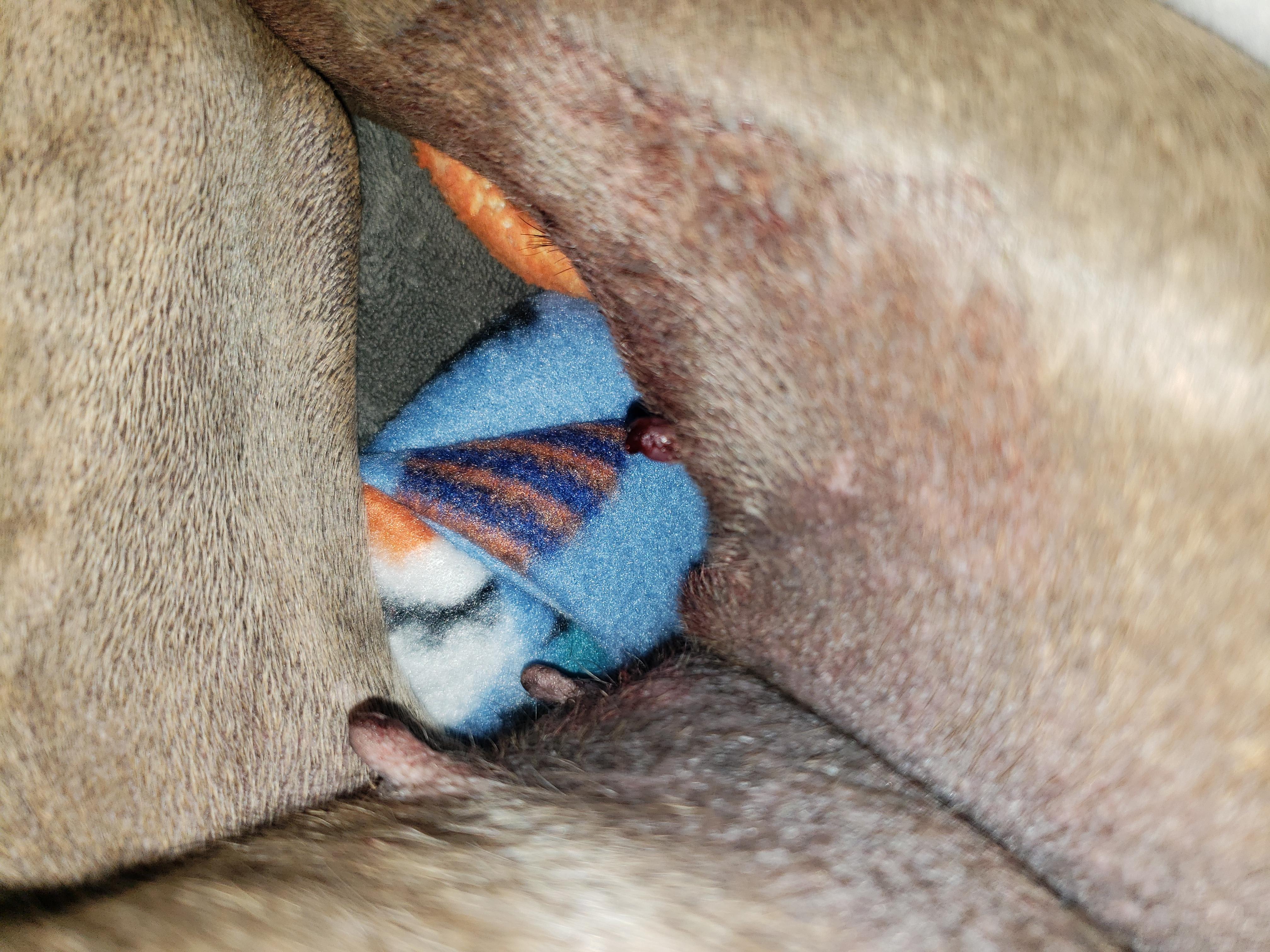 Question details sensitive content