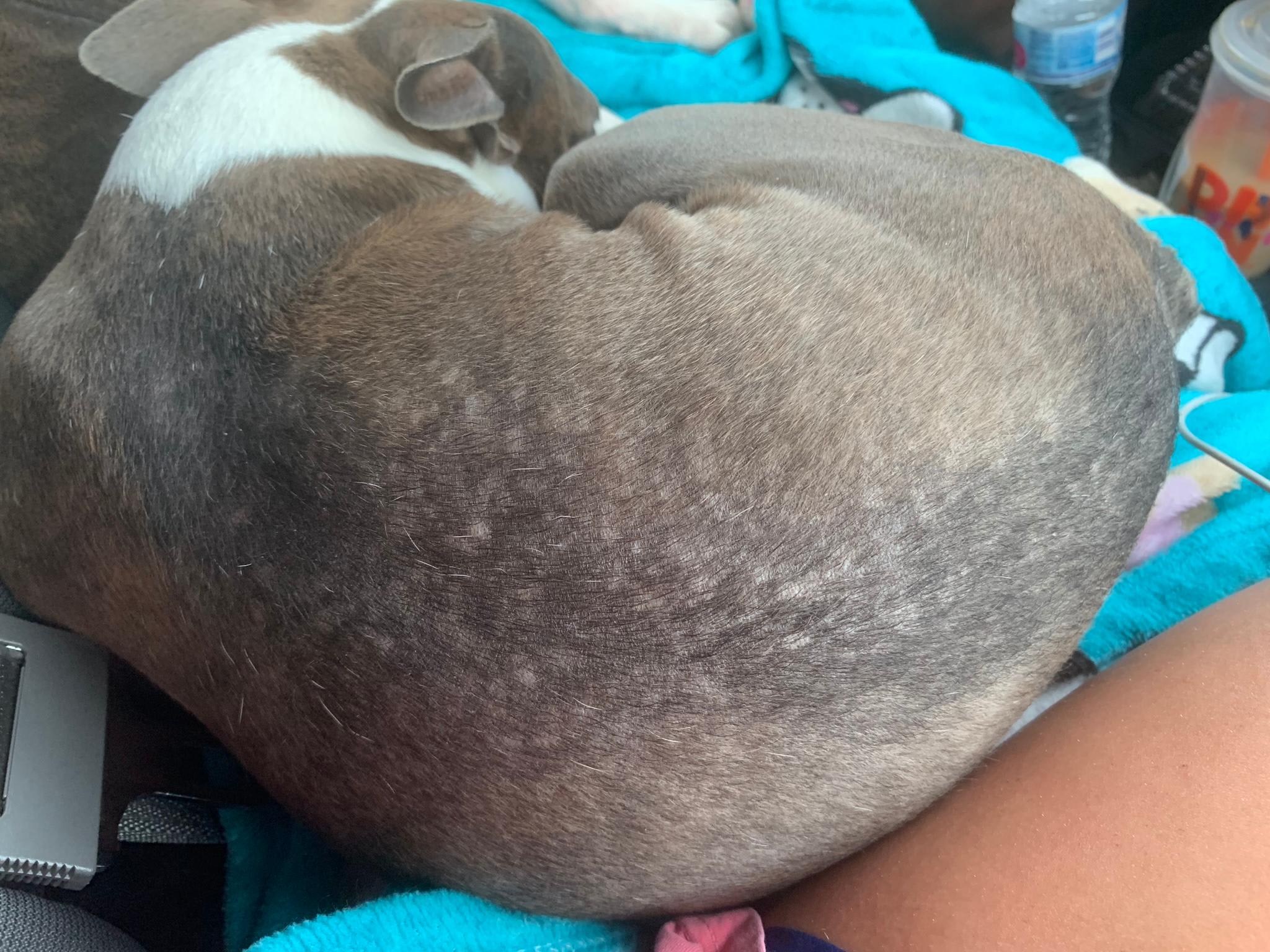 Question details sensitive content