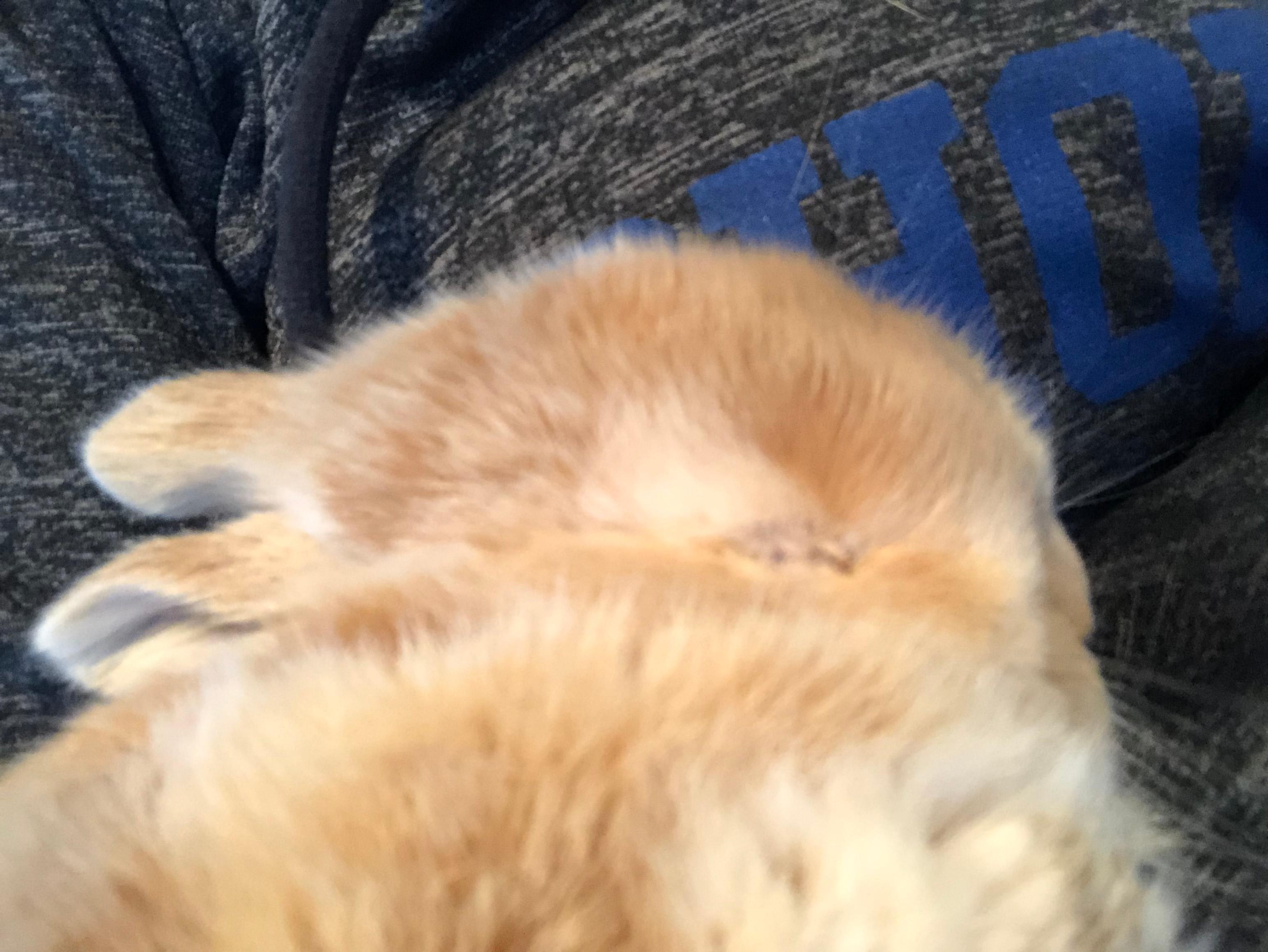 Question details sensitive content