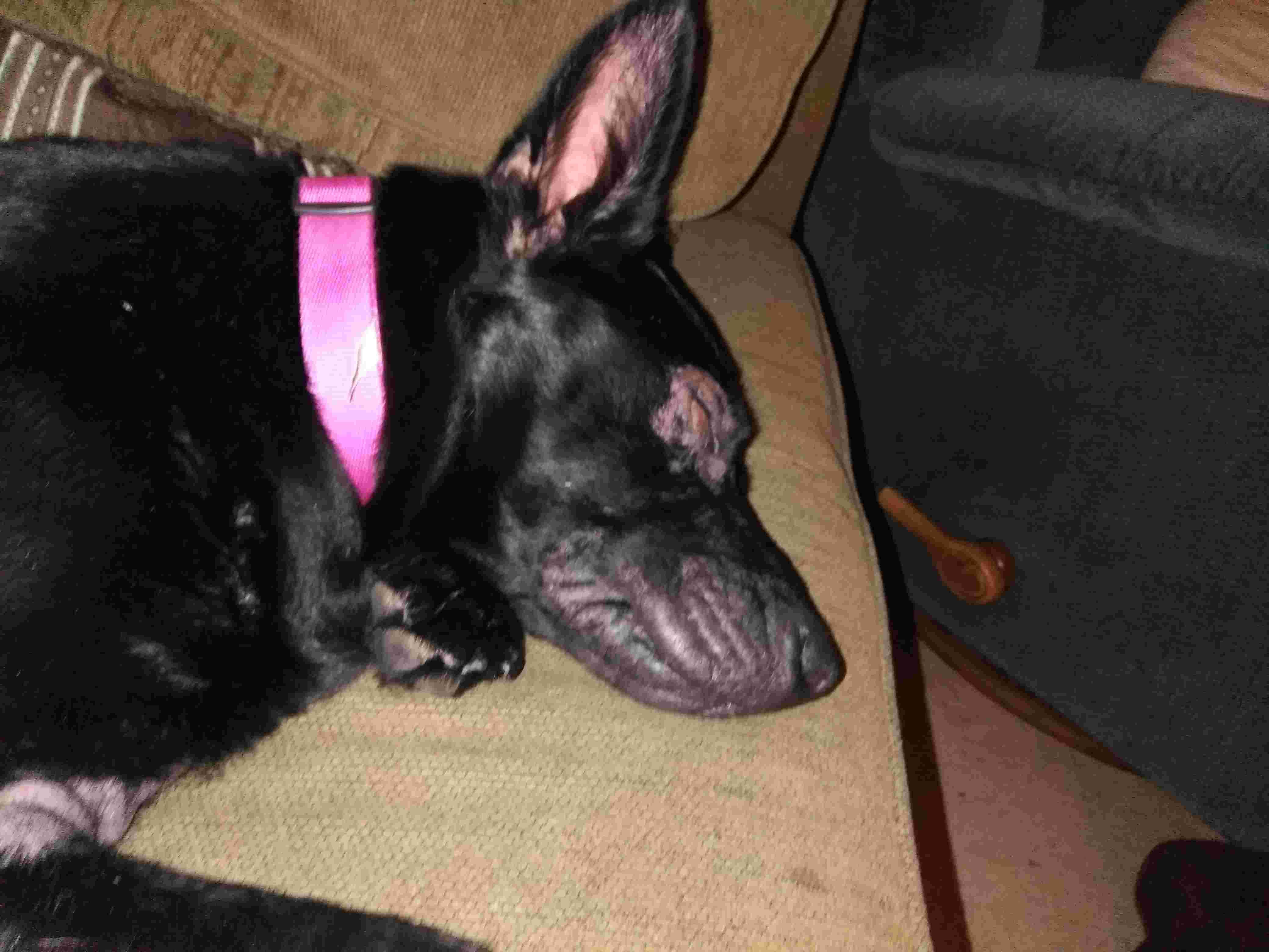 Question details sensitive content