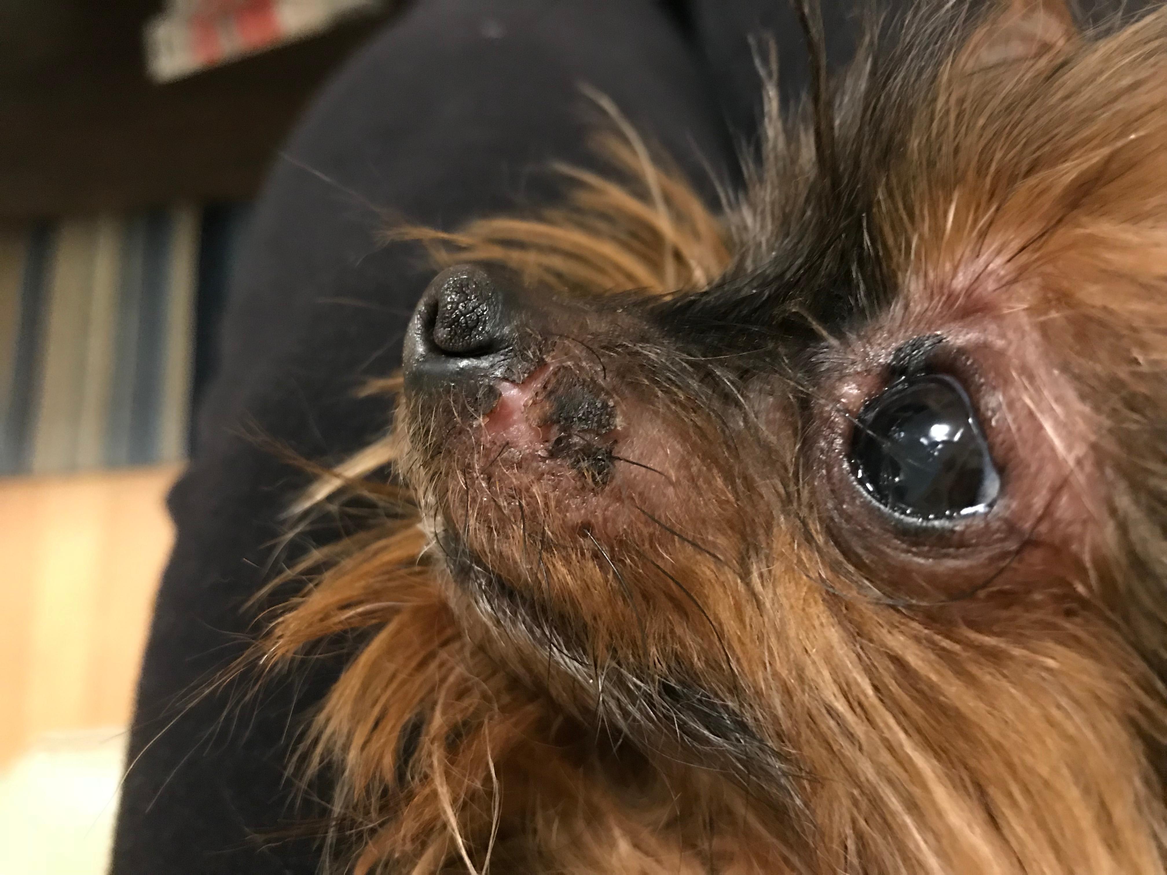 Question details sensitive content