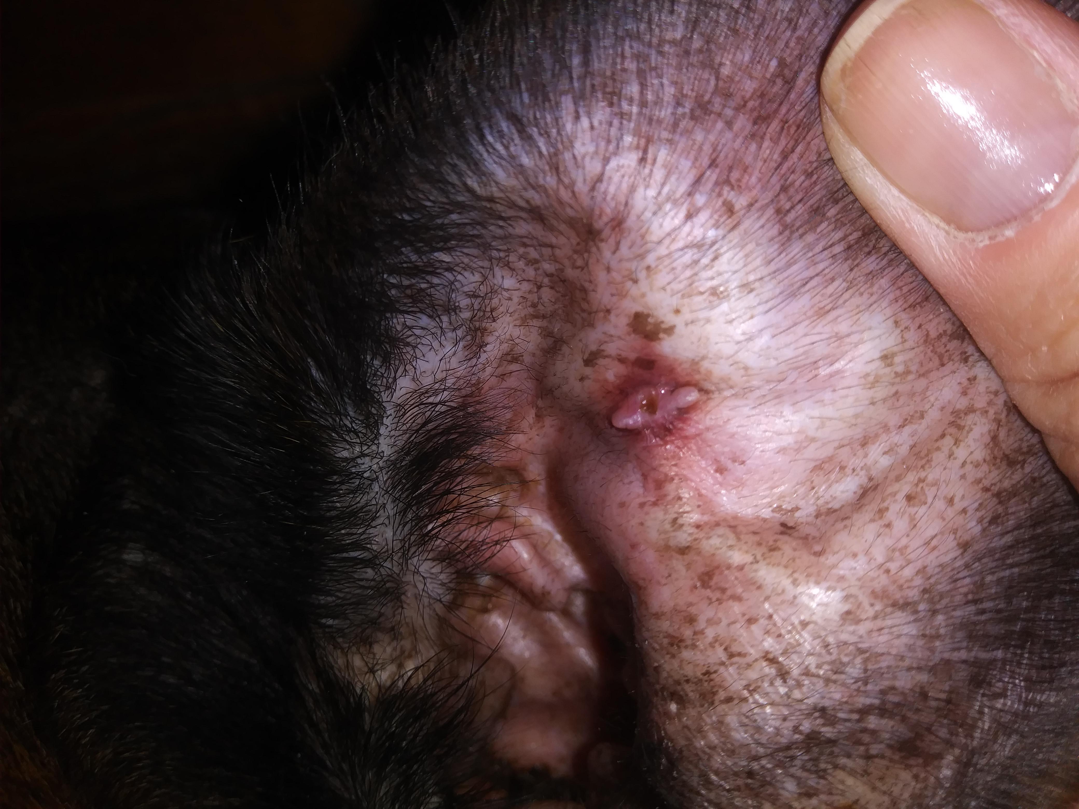 Question details sensitive content