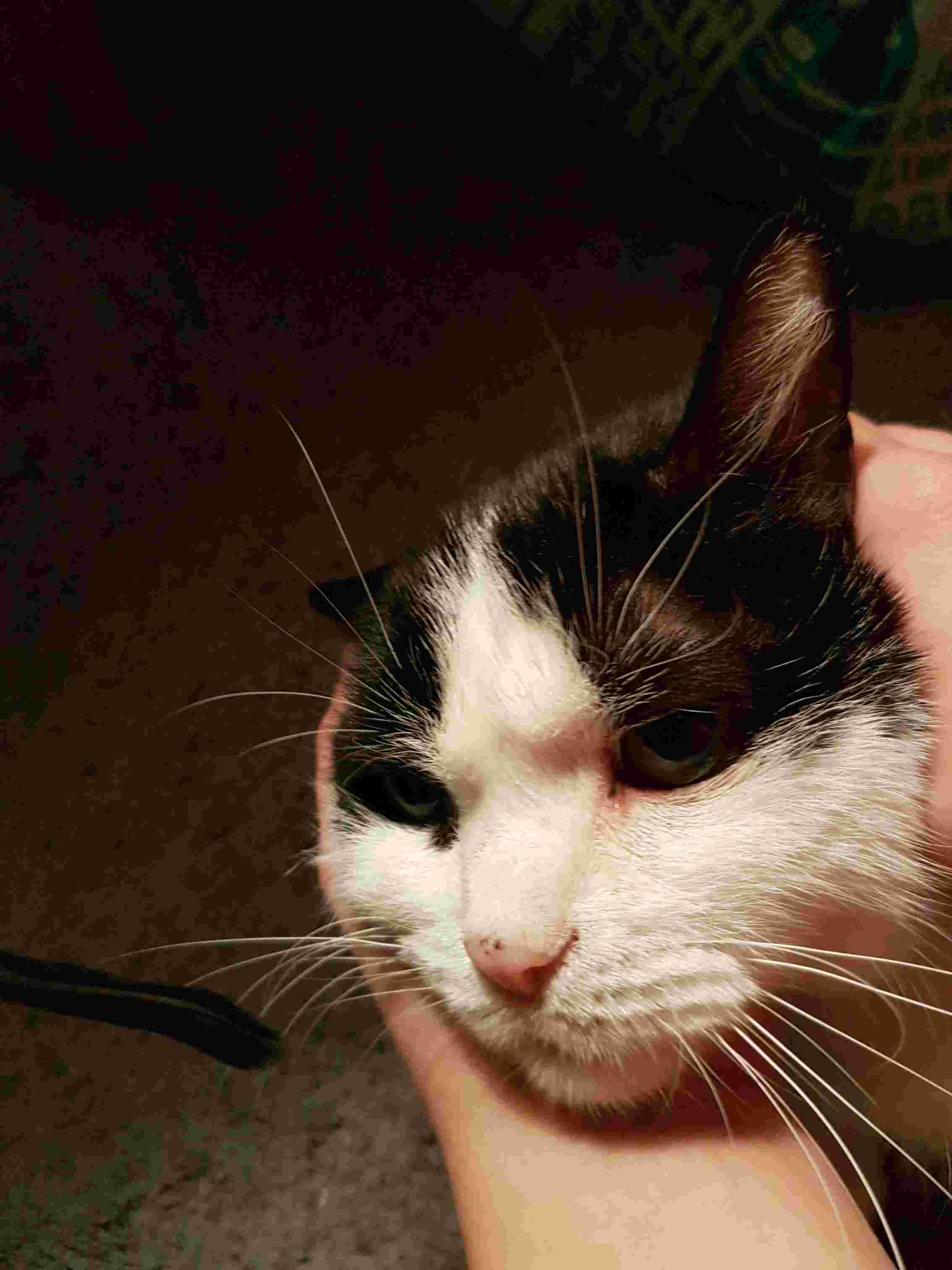 Question details sensitive content