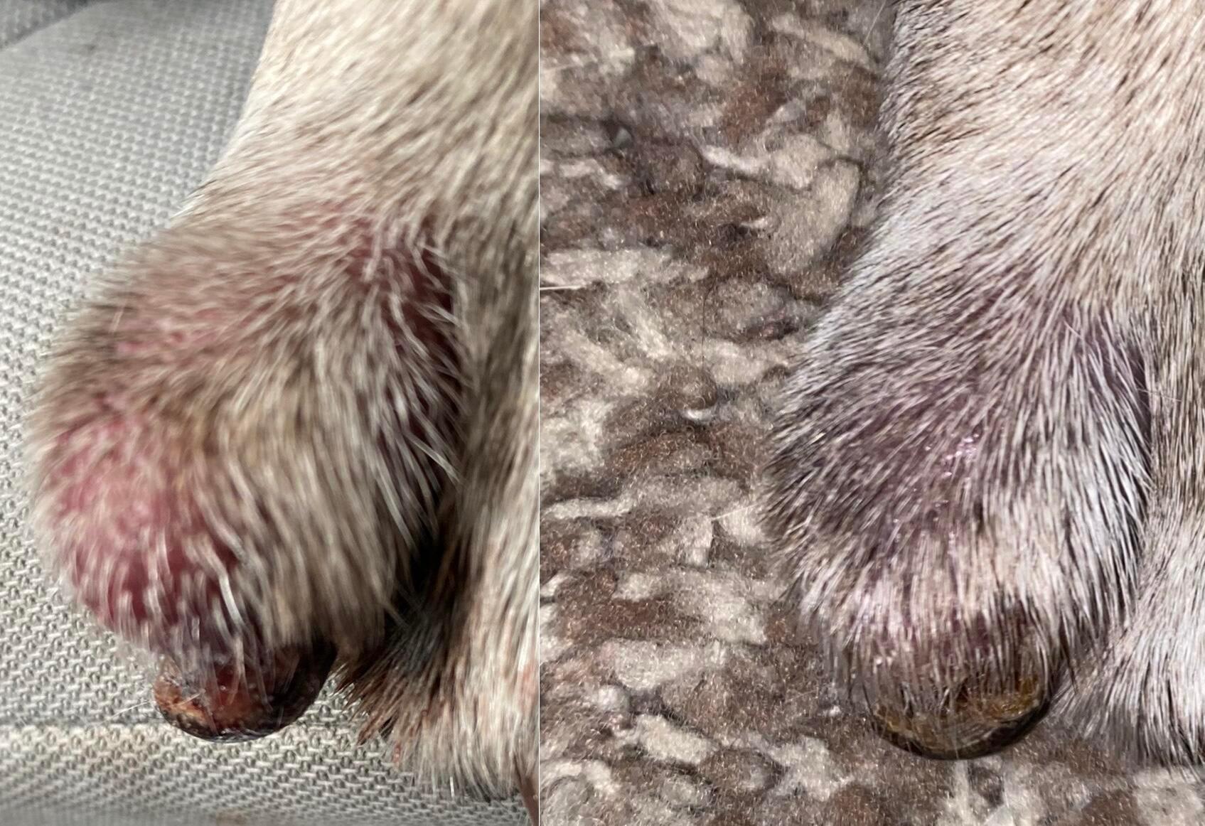 Question details sensitive content