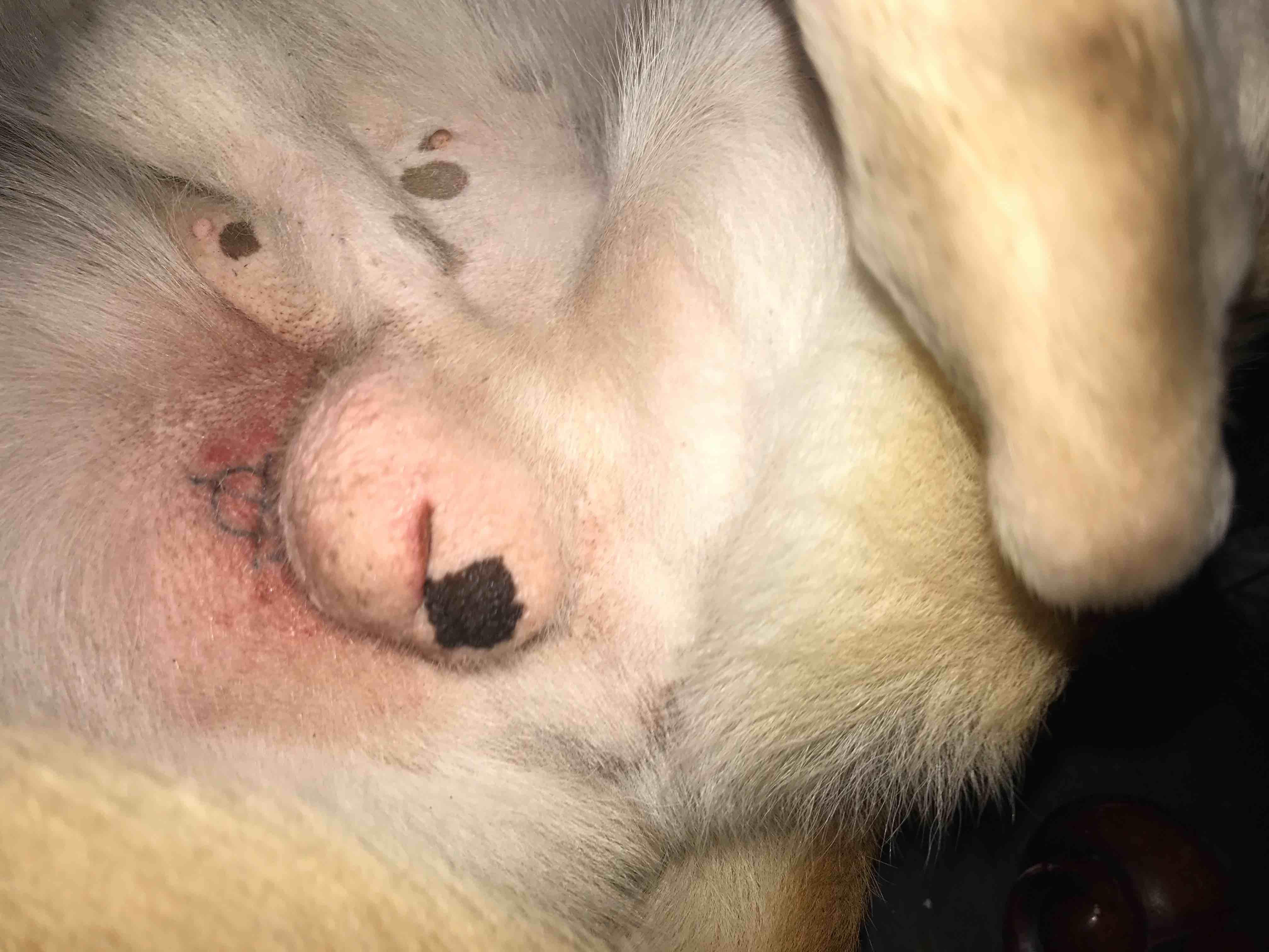 Question details sensitive content