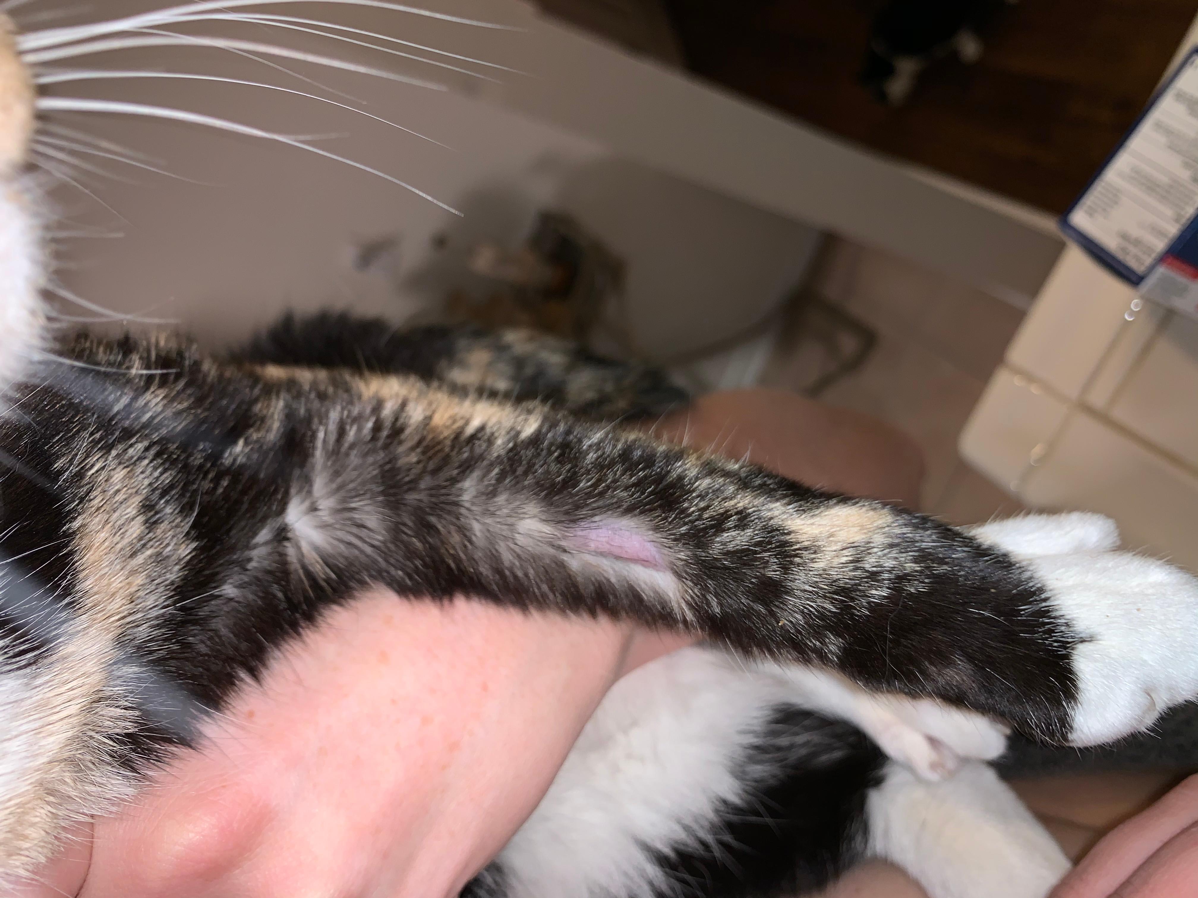 Question details sensitive content