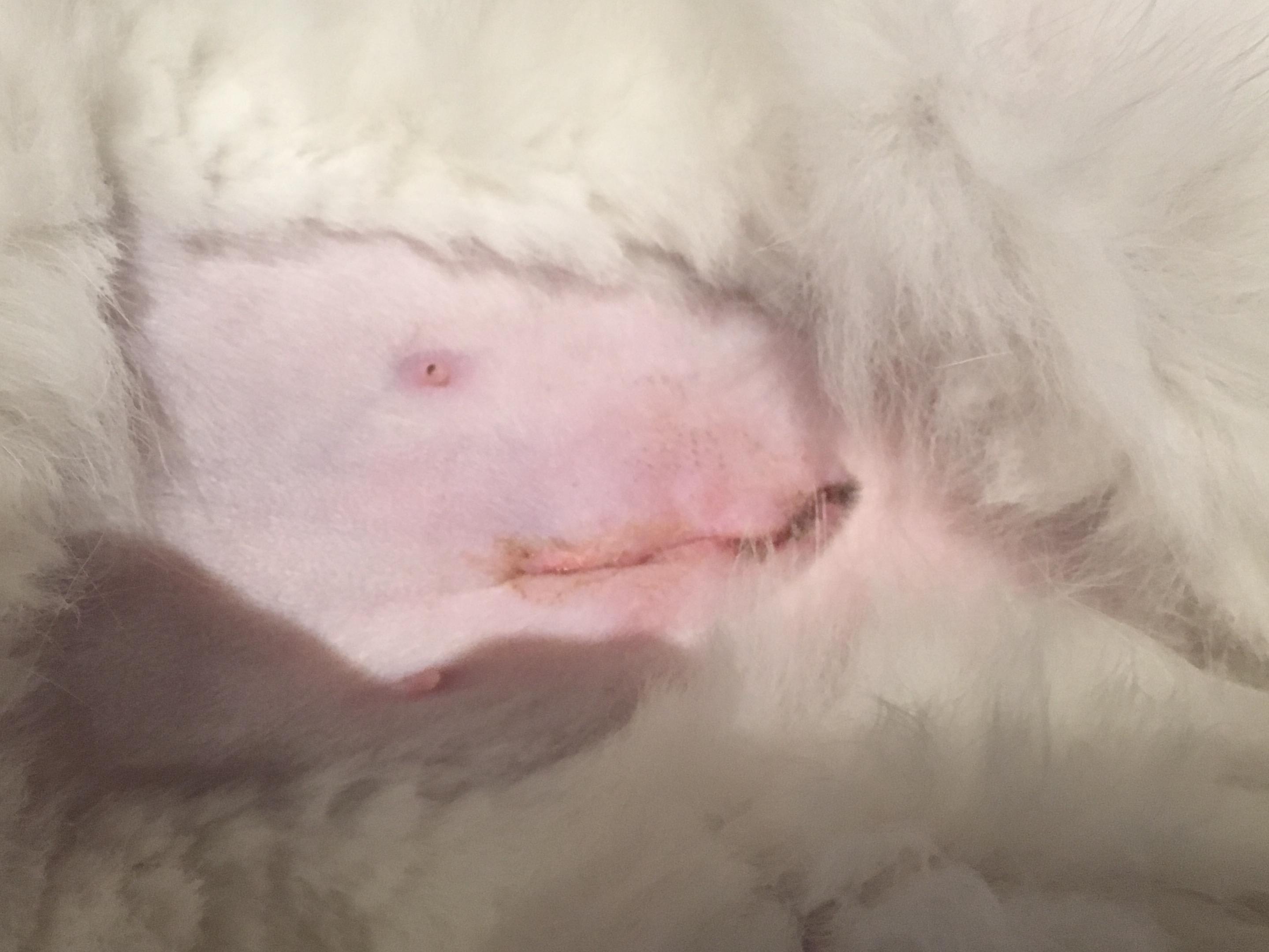 Question details sensitive content