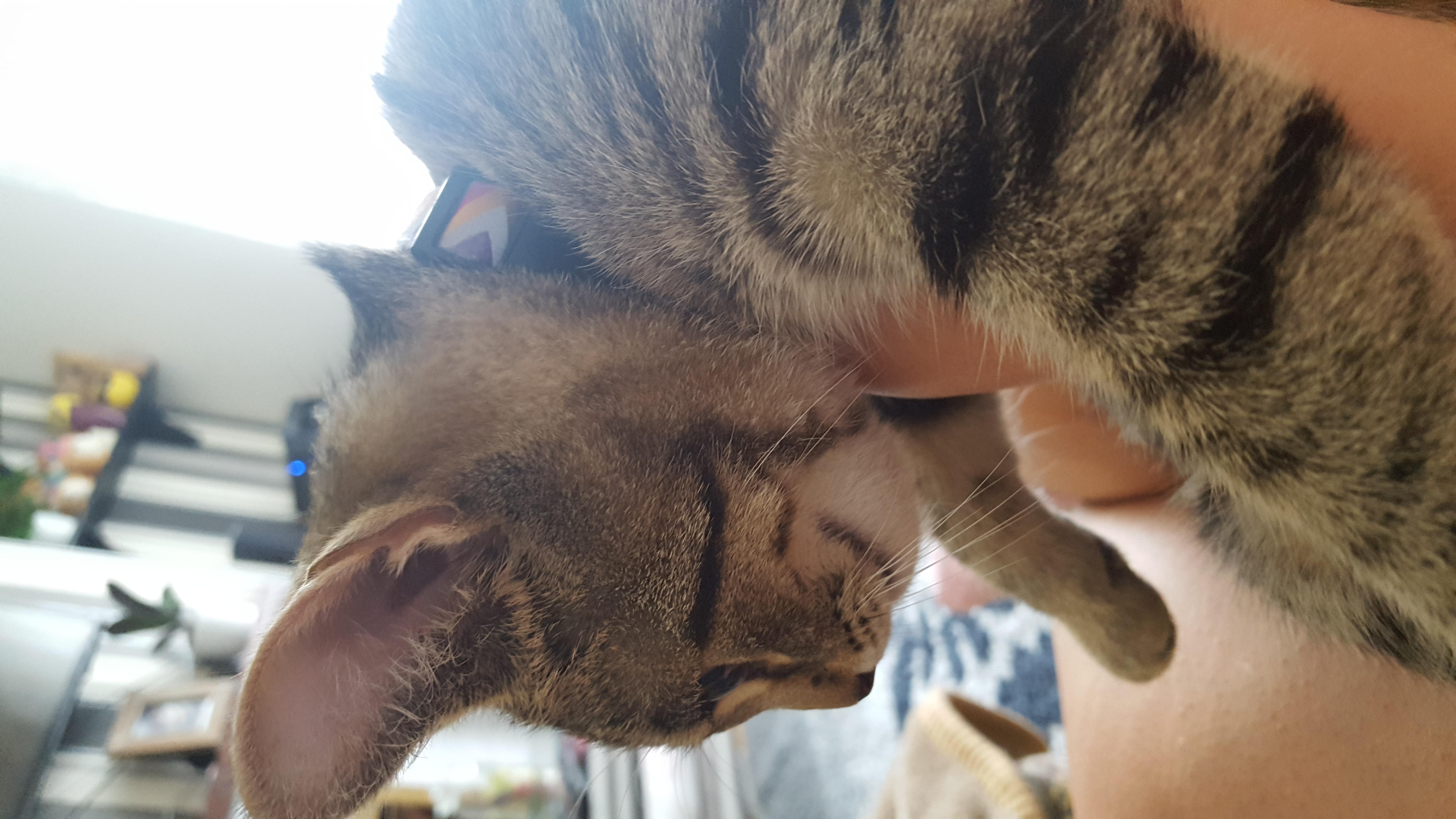 Question details sensitive content