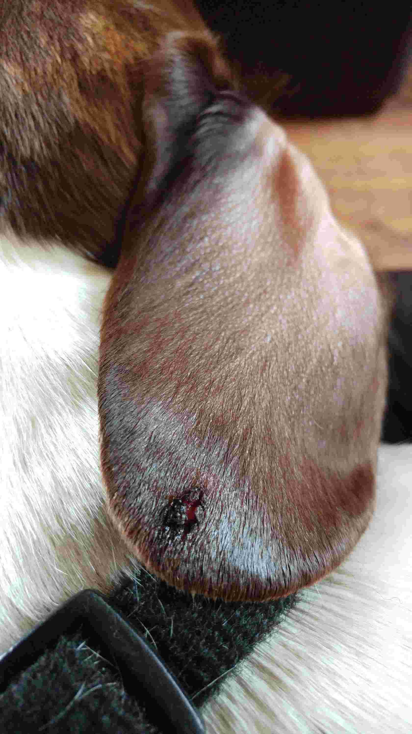 Question details sensitive content