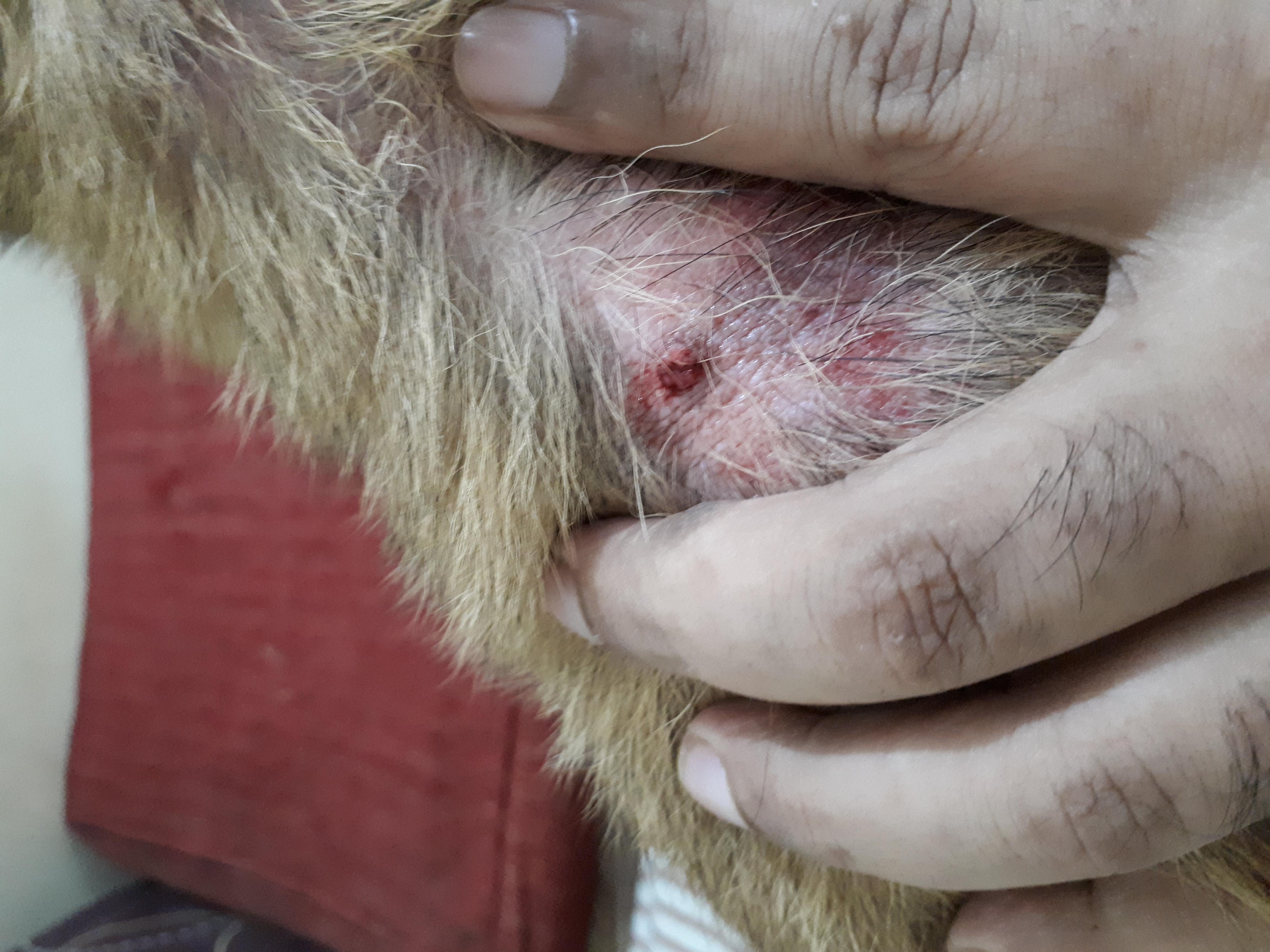 Question details sensitive content