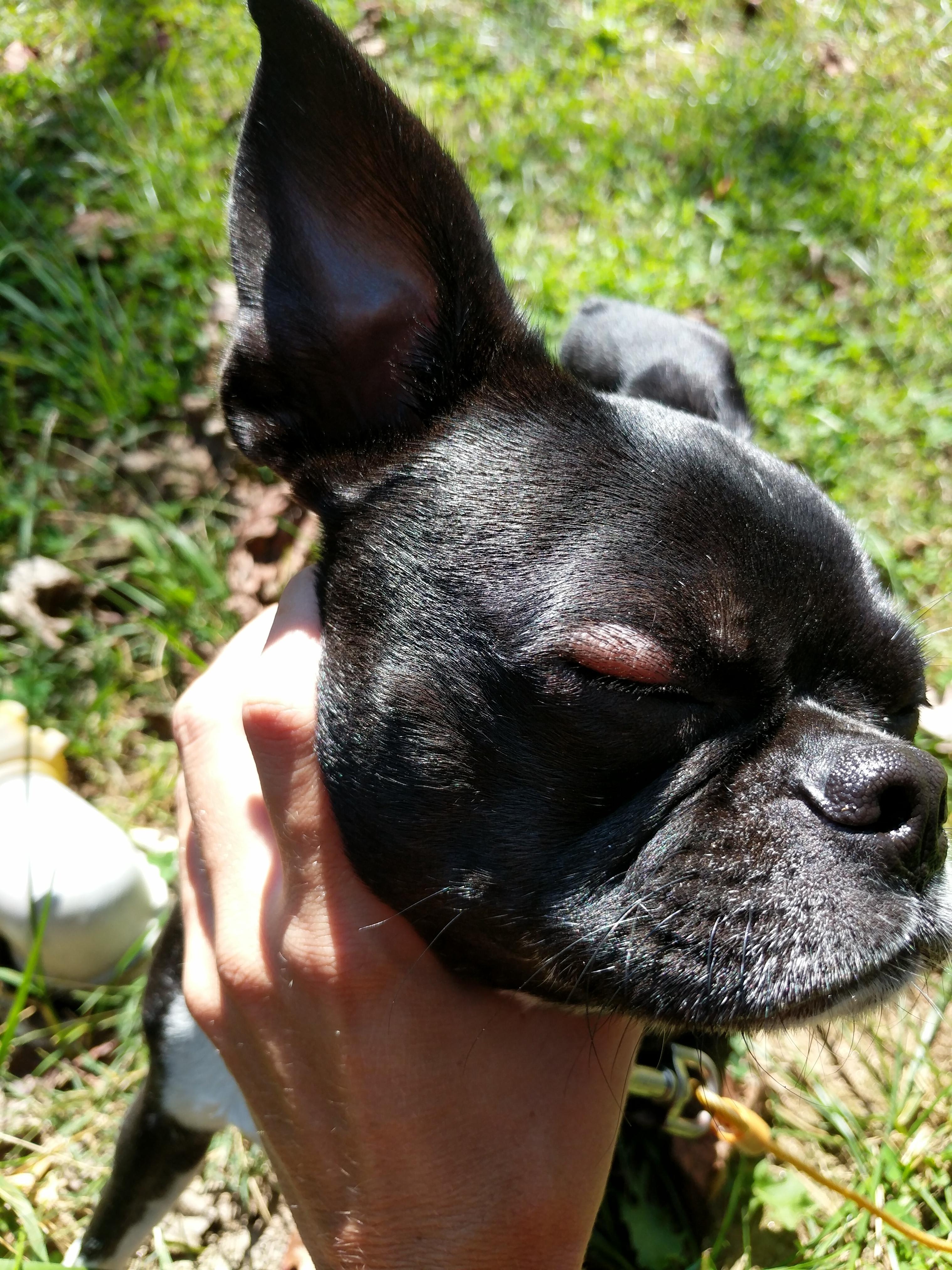 Question details sensitive content