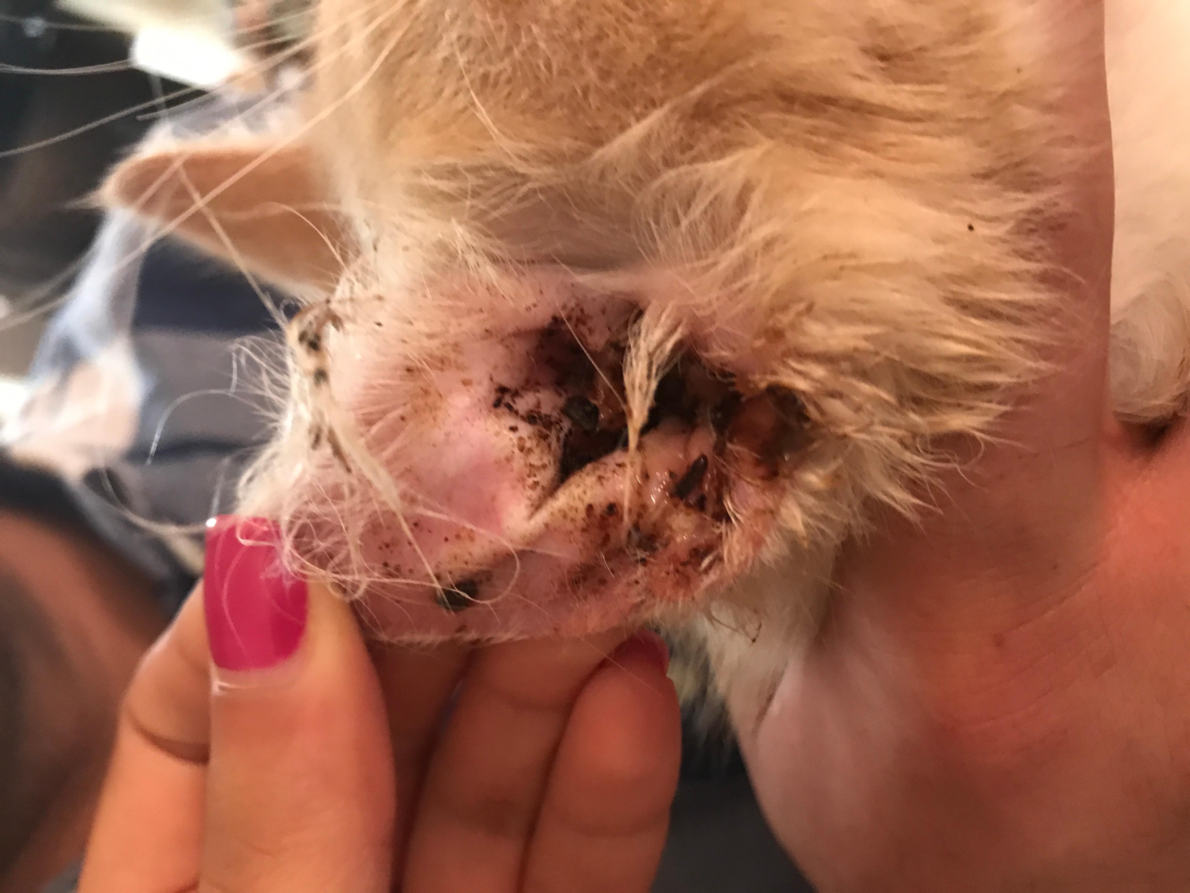 Question details sensitive content