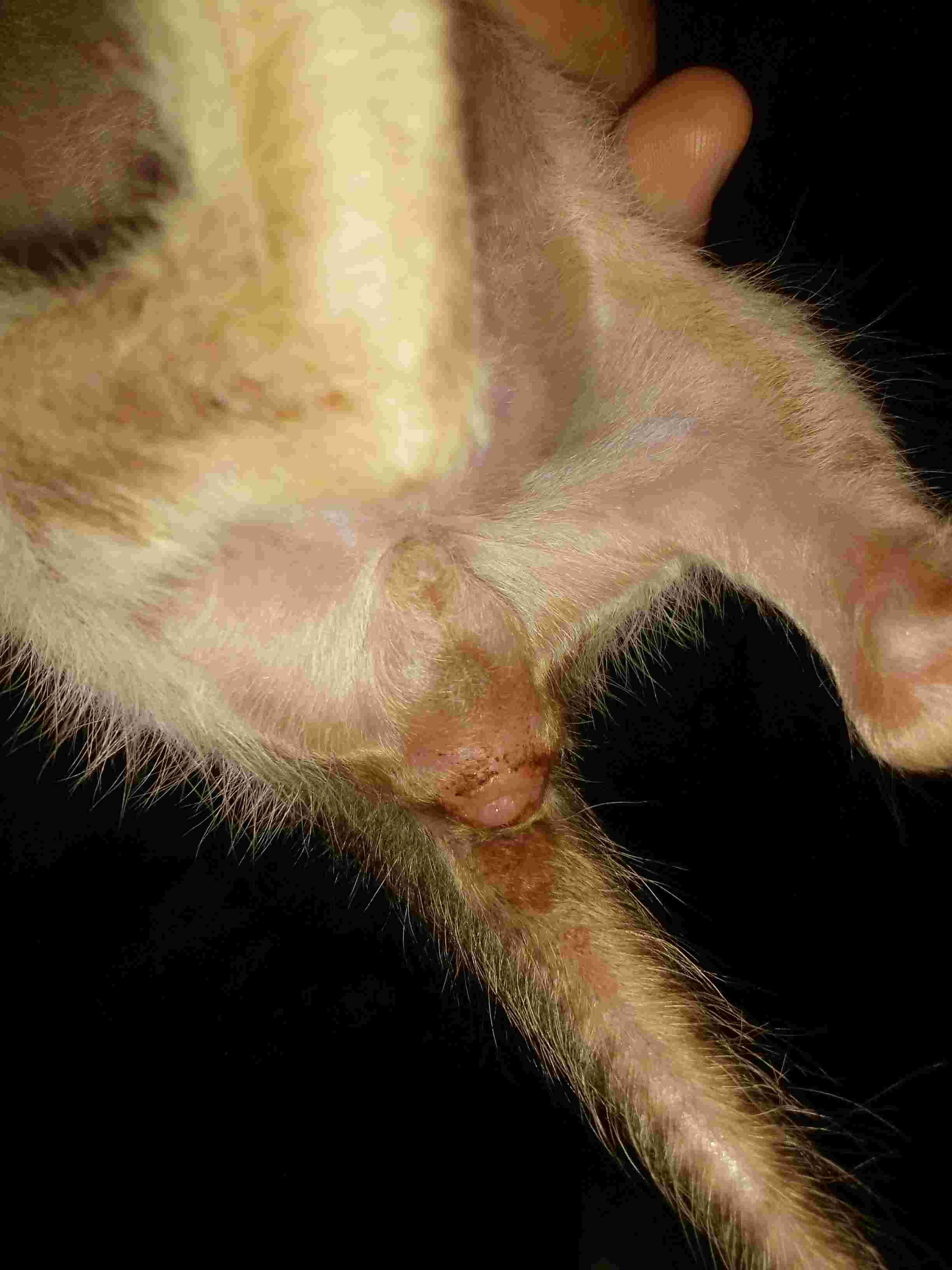 Question details sensitive content