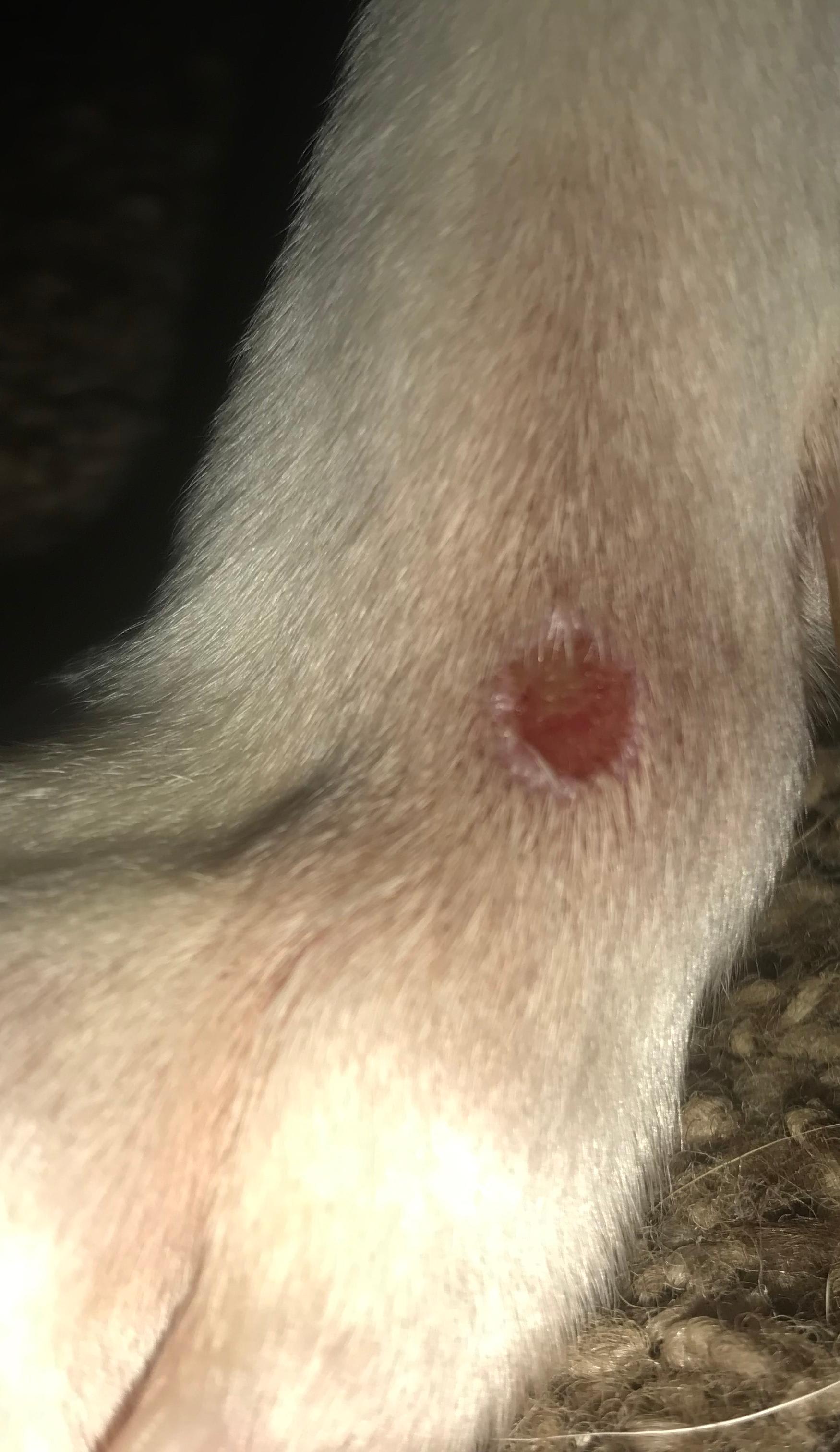 Question details sensitive content