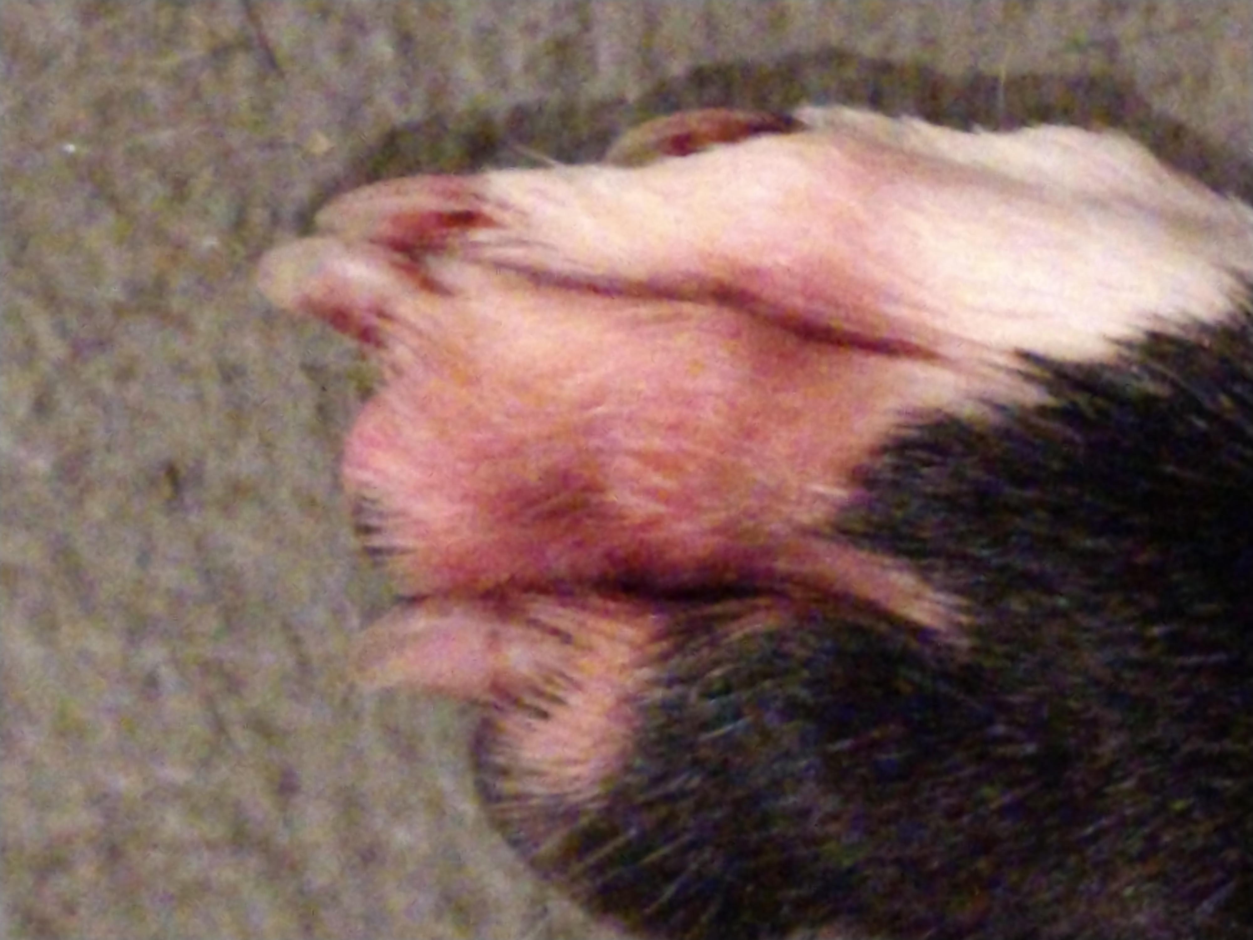 Question details sensitive content