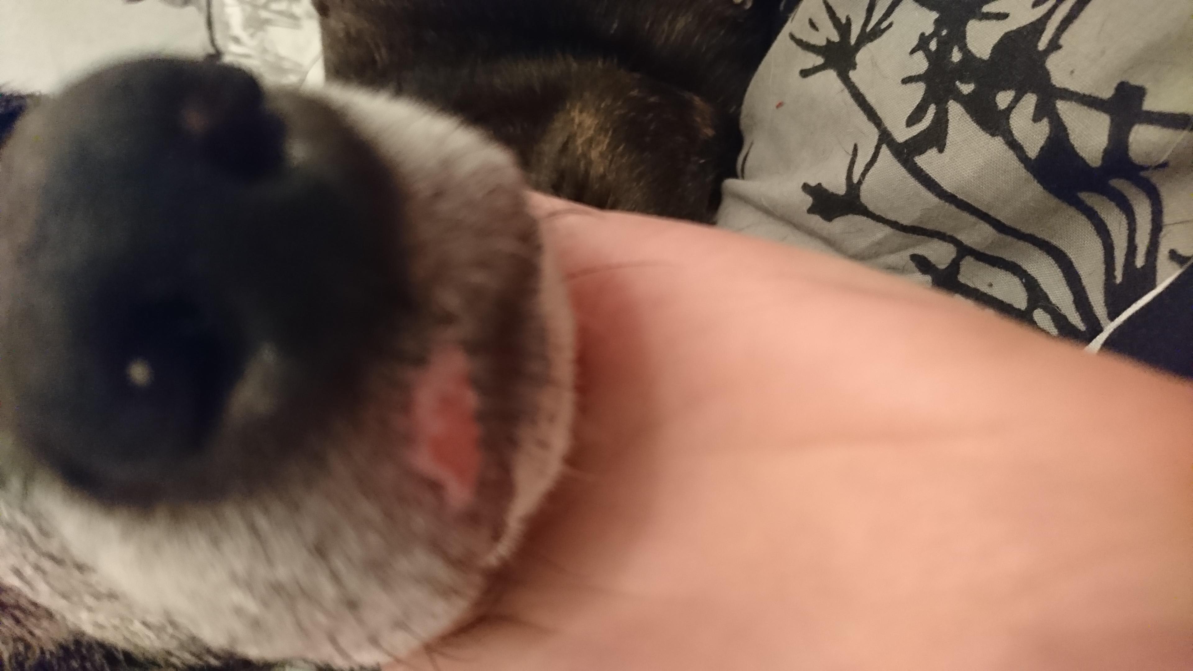 Question details sensitive content