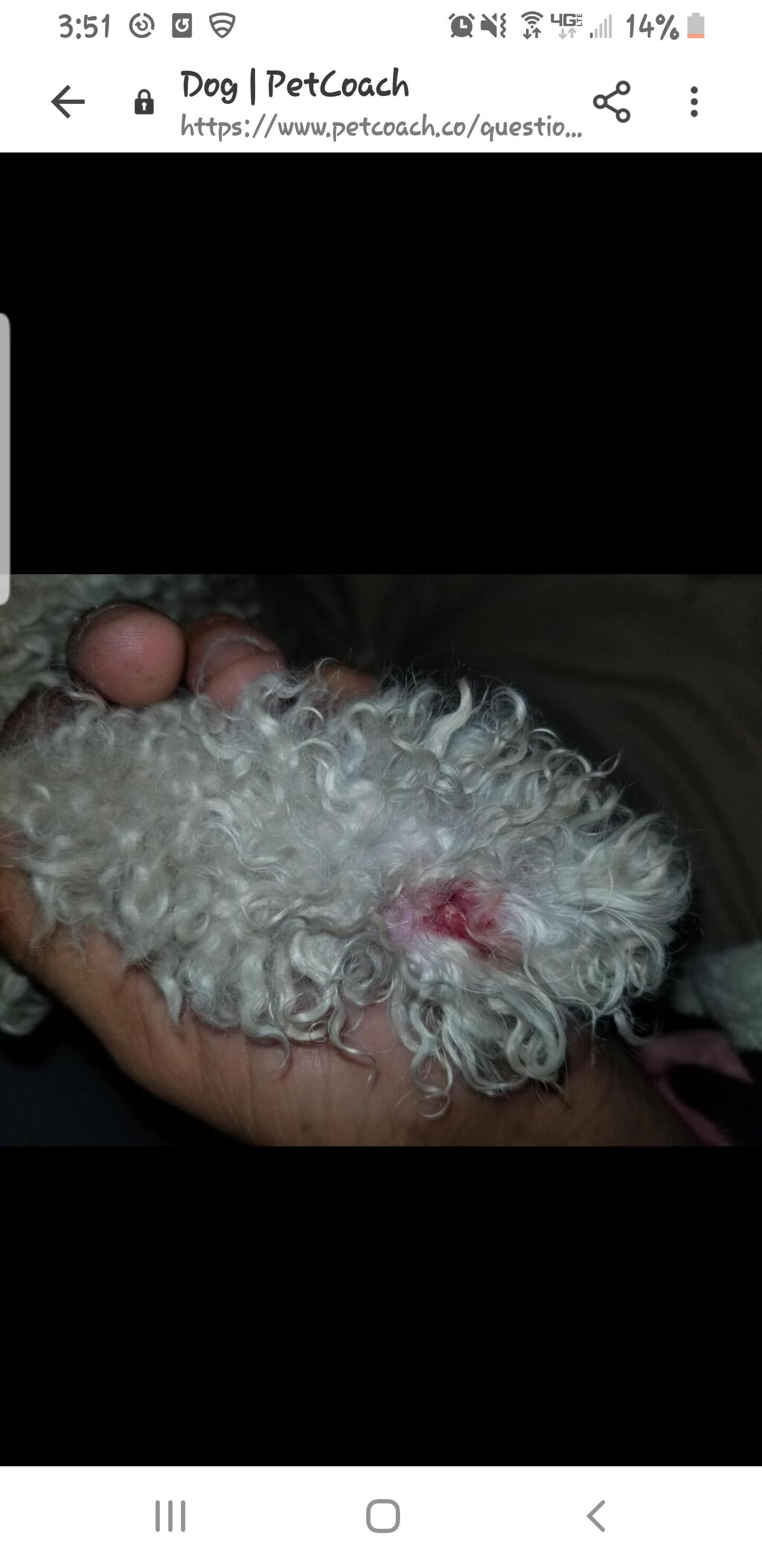 Question details sensitive content