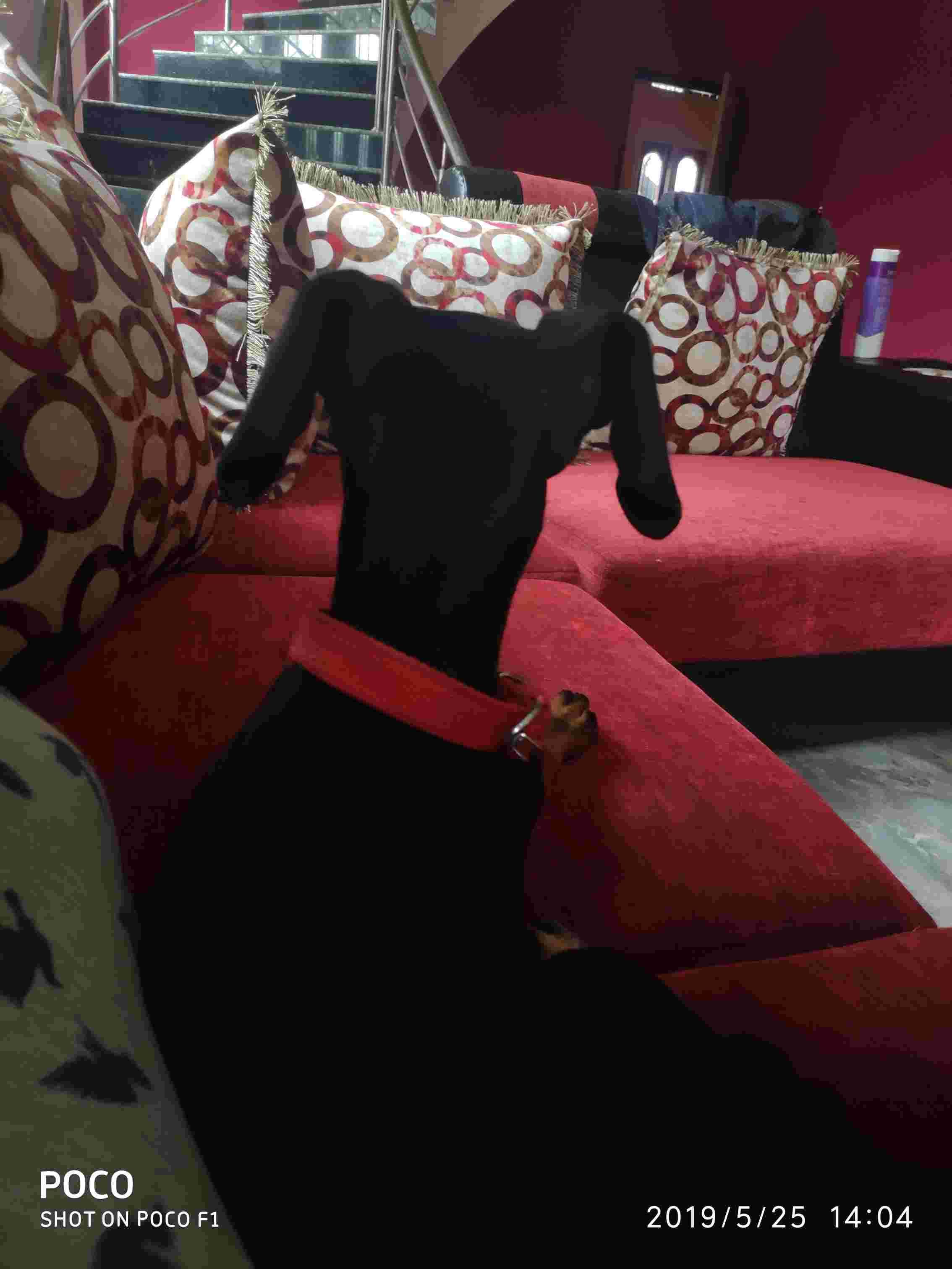 Question details sensitive content