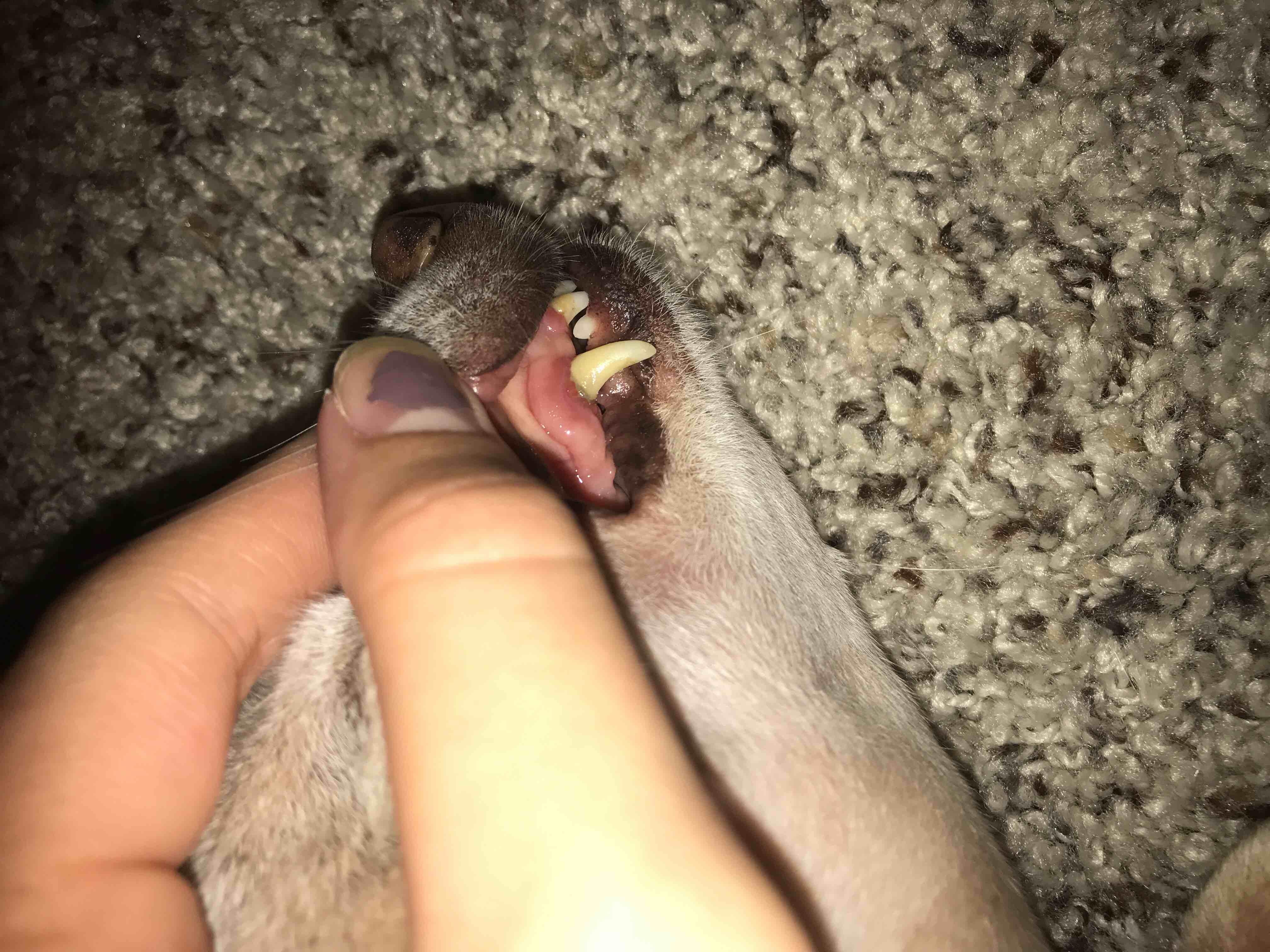 Question details sensitive content