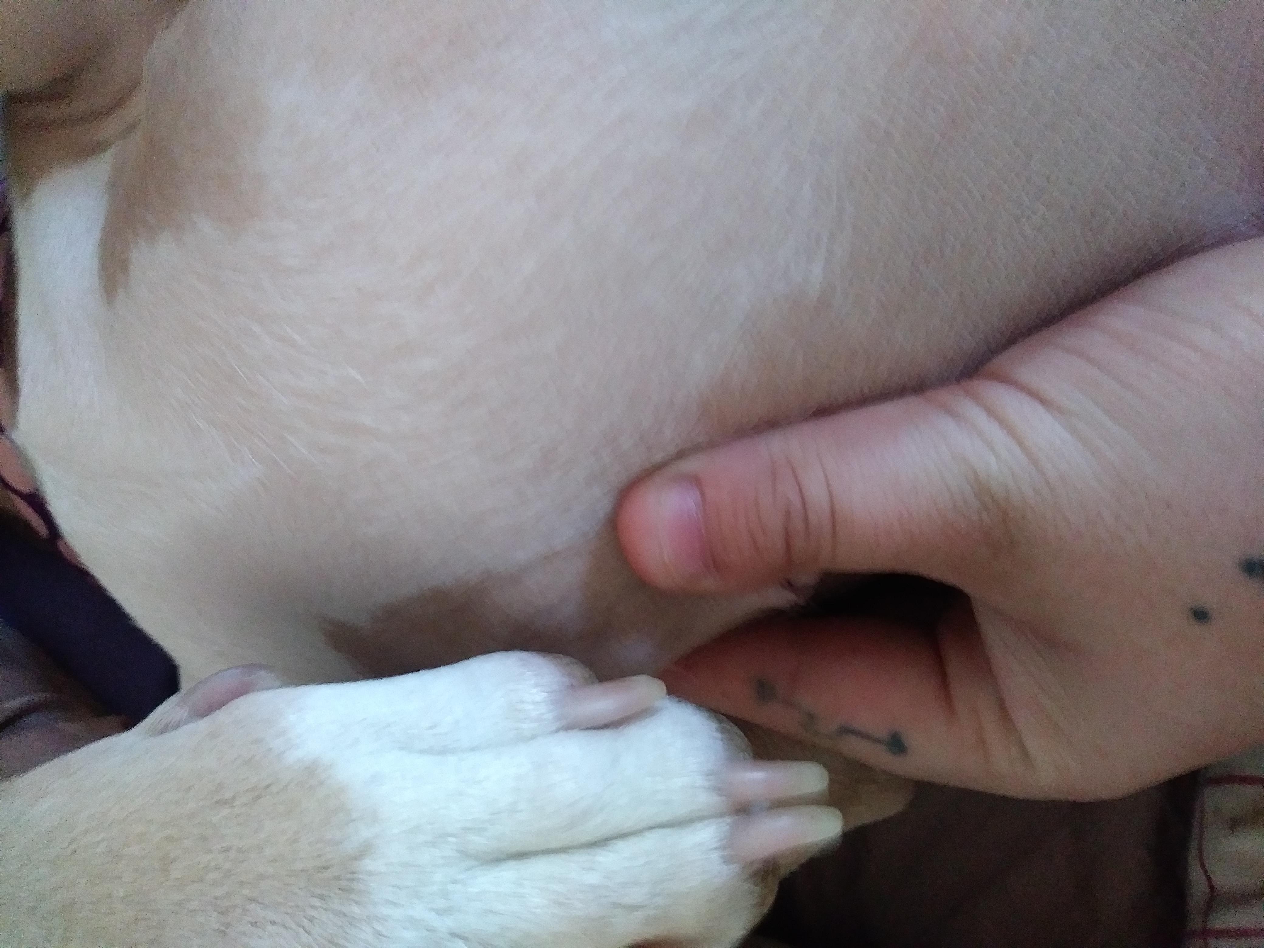 Question details sensitive content