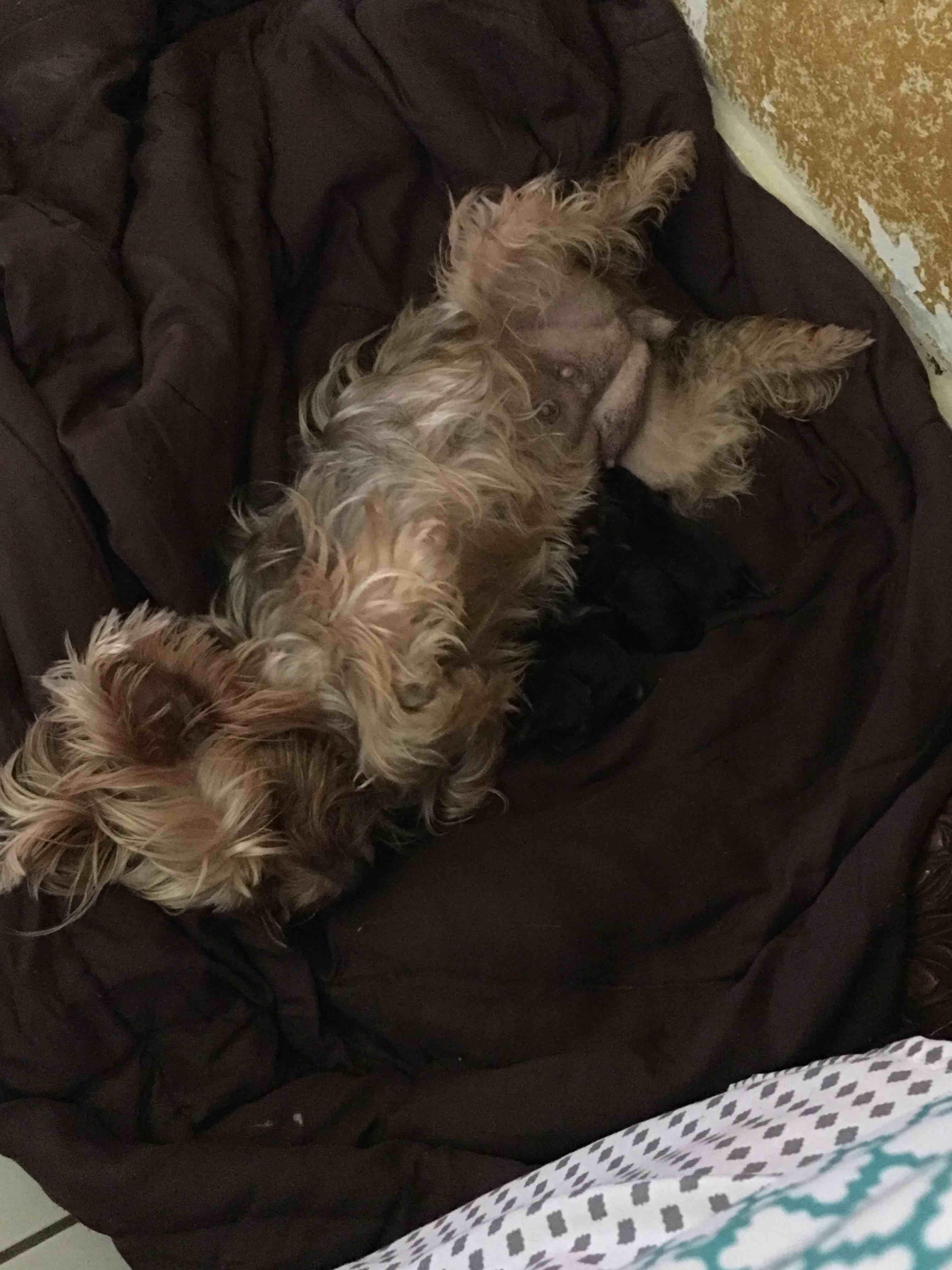 Question details sensitive content