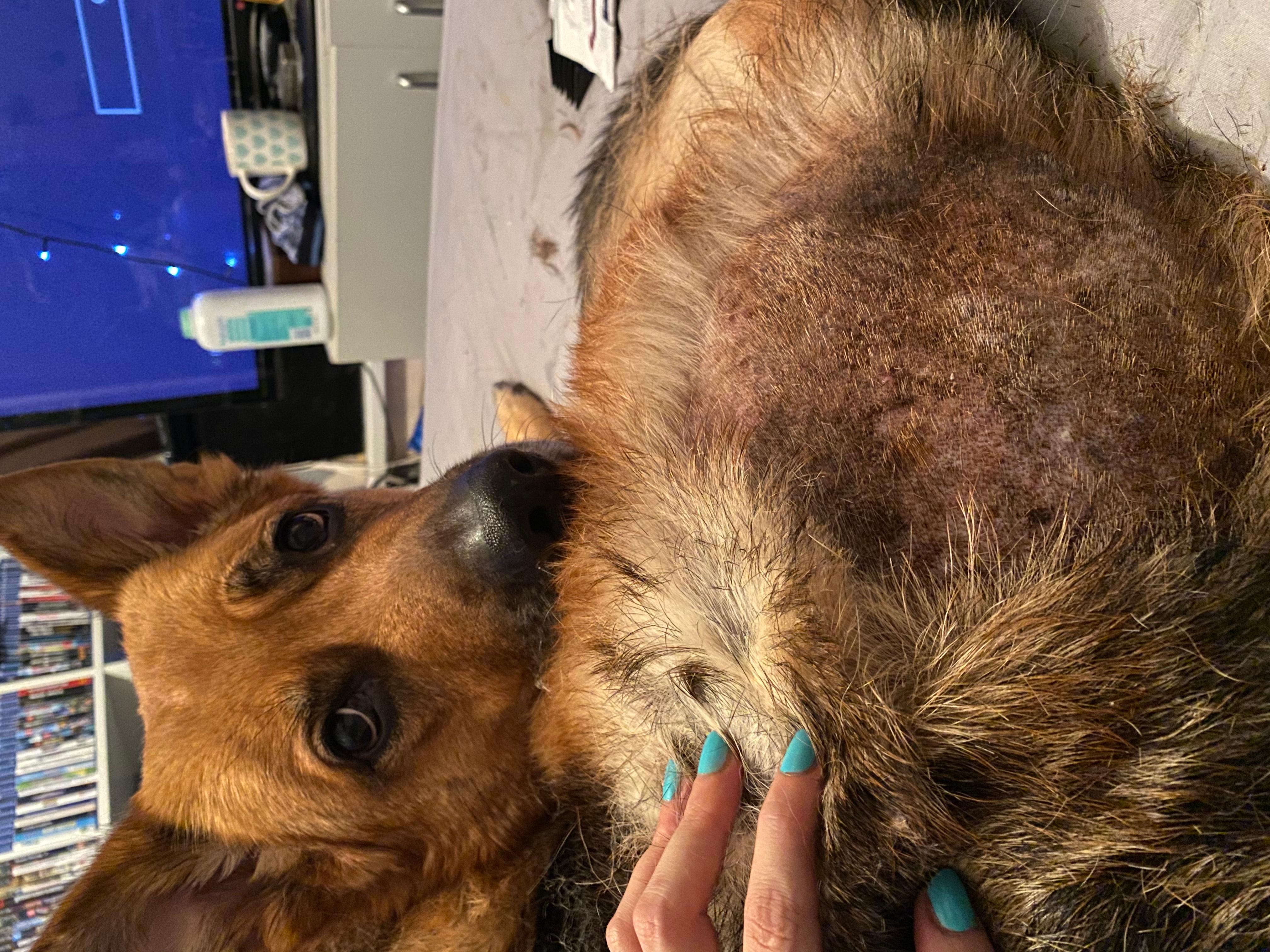 Question details sensitive content