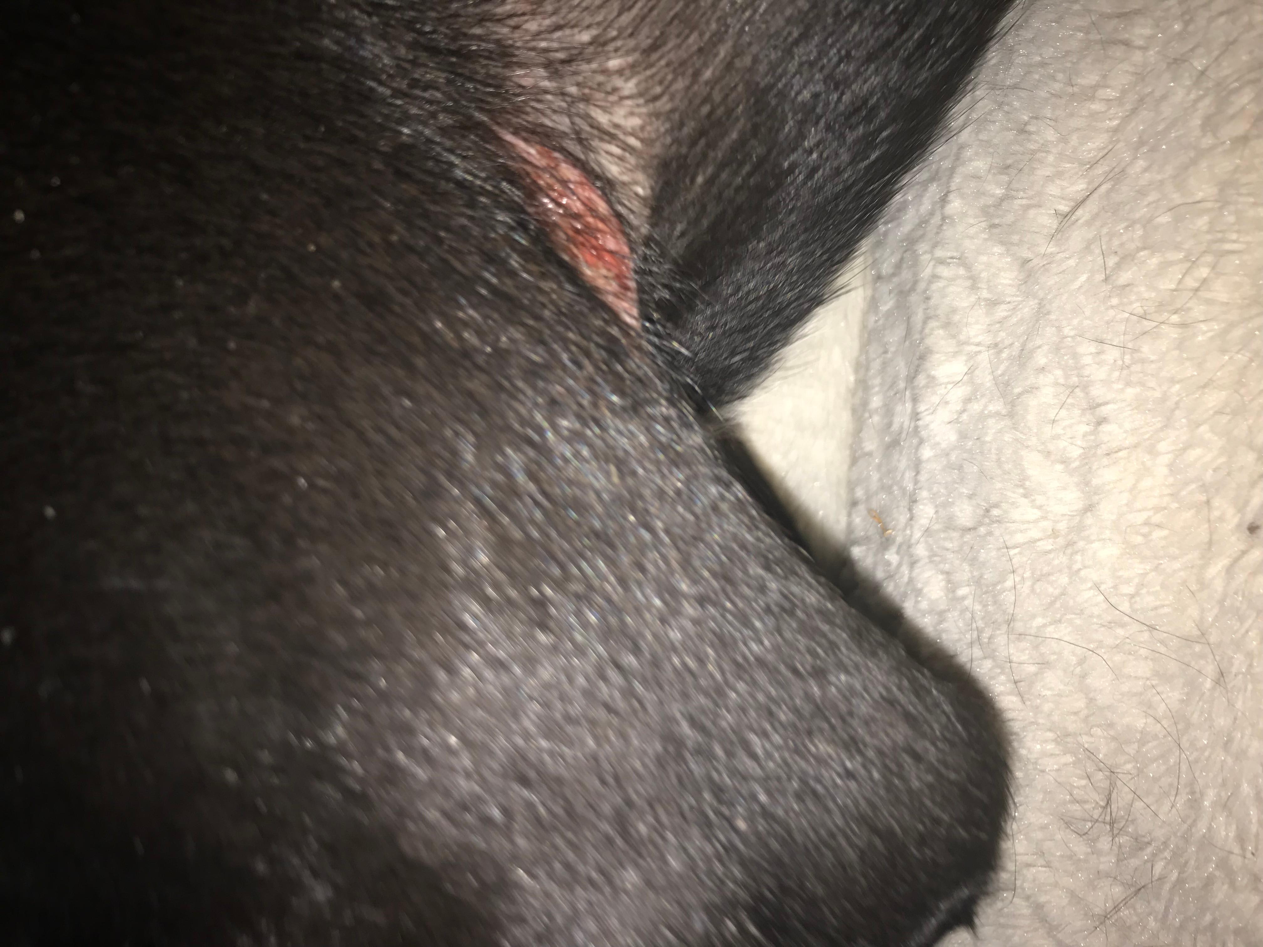 Question details sensitive content