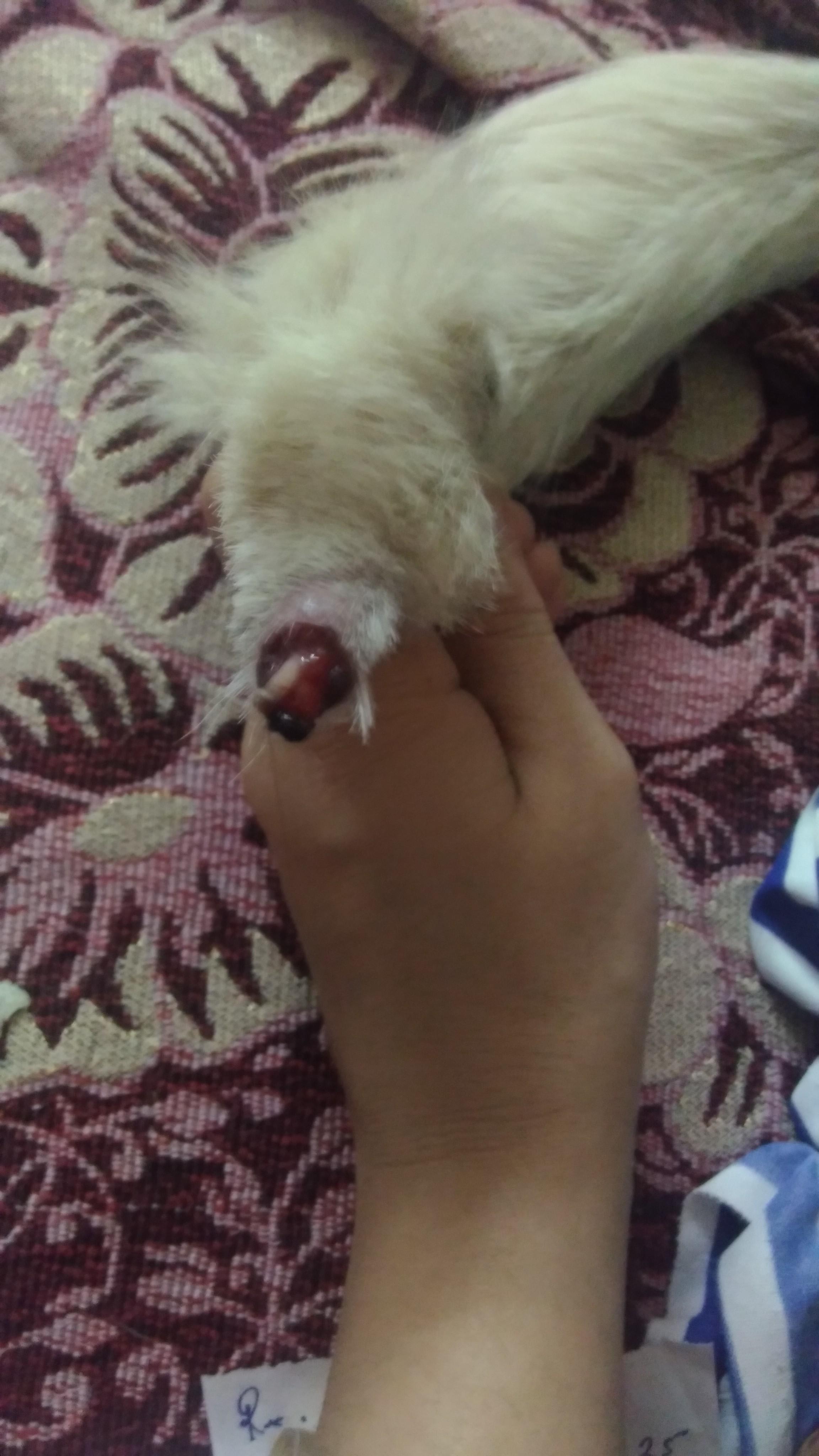 Question details sensitive content