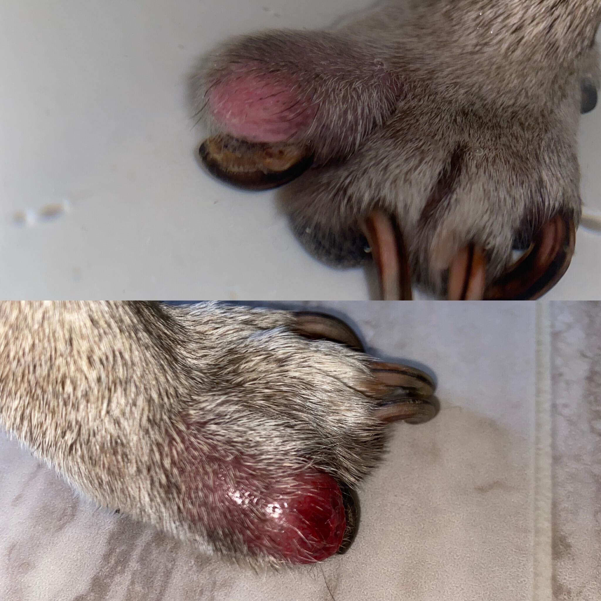 Question details sensitive content