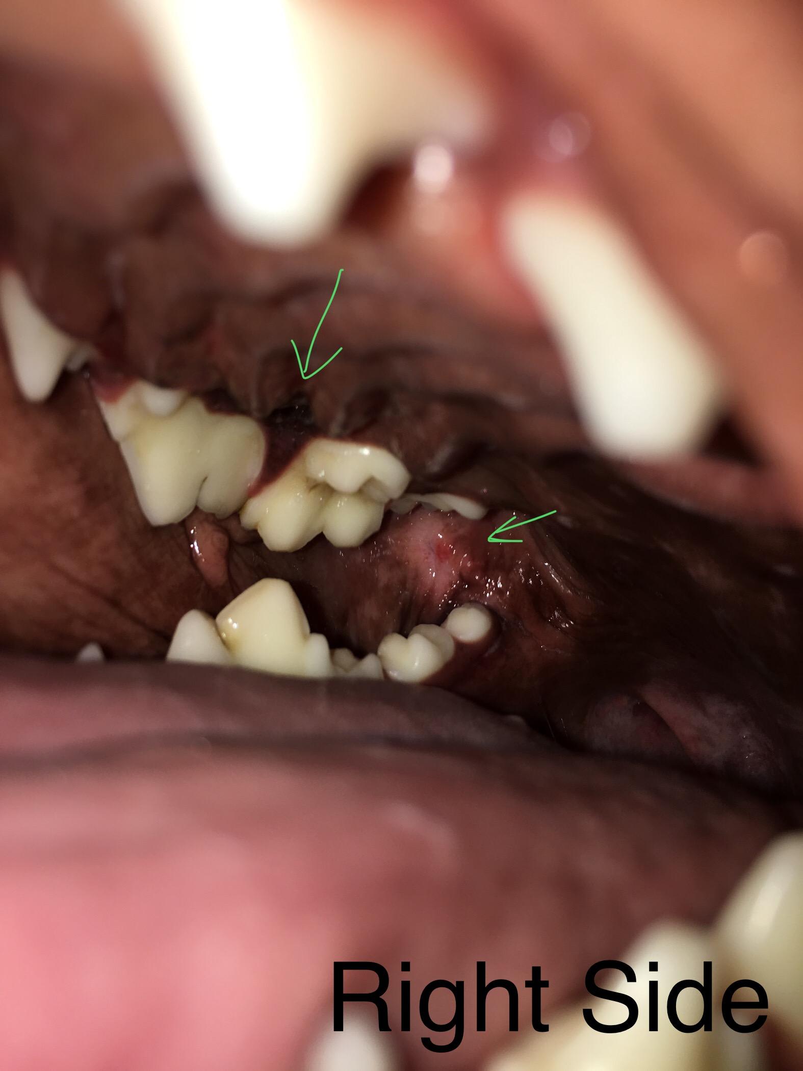 Question details sensitive content