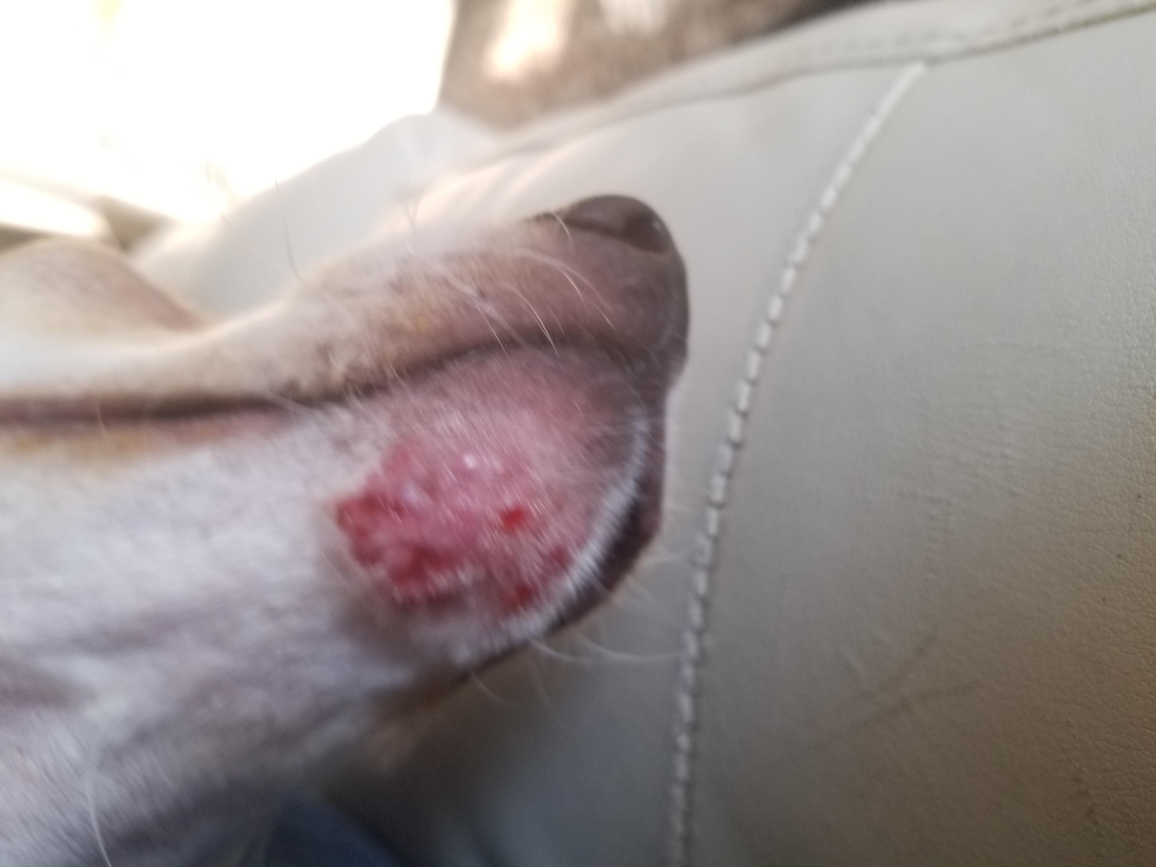 Question details sensitive content