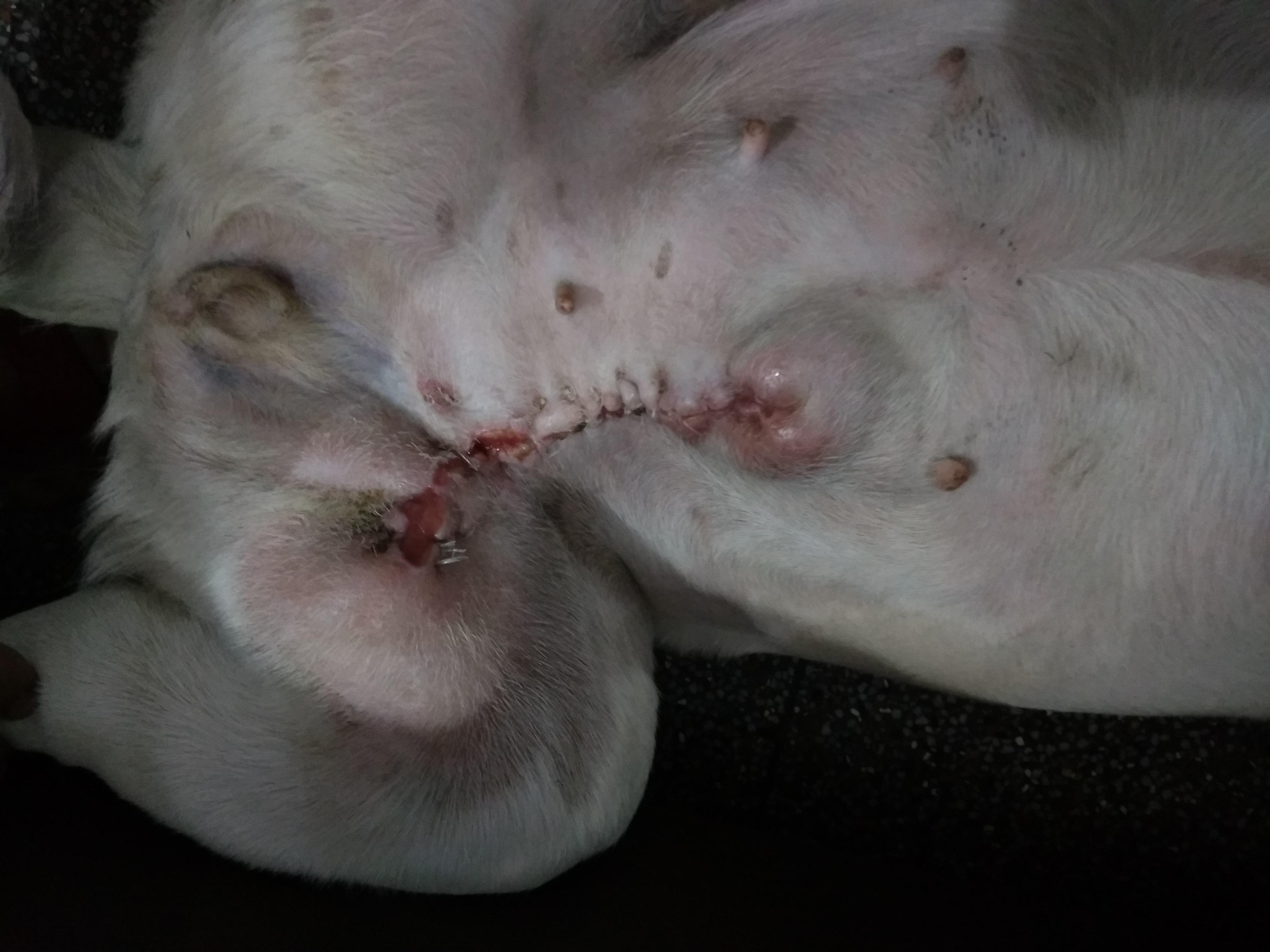 Question details sensitive content