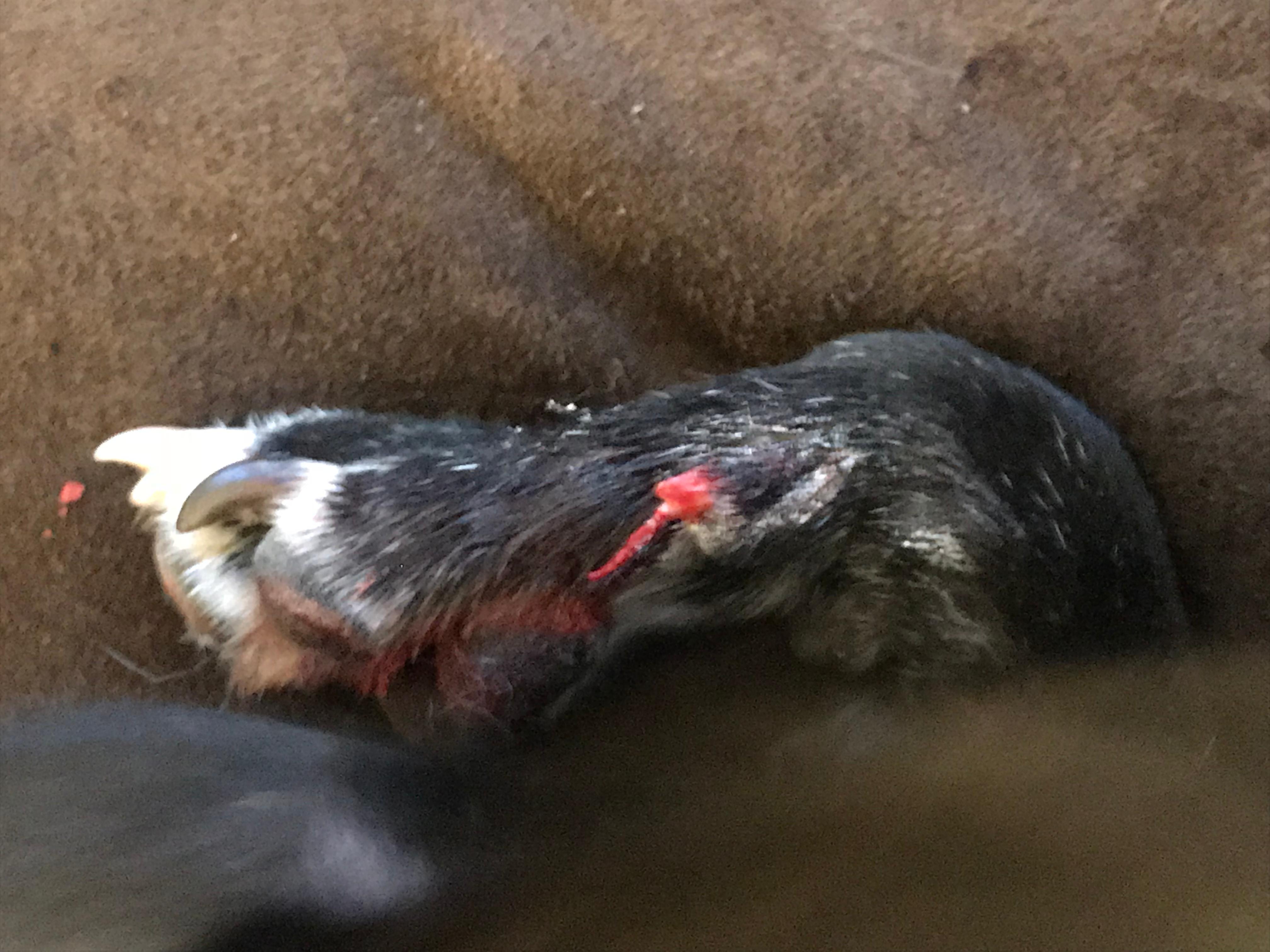 Question details sensitive content