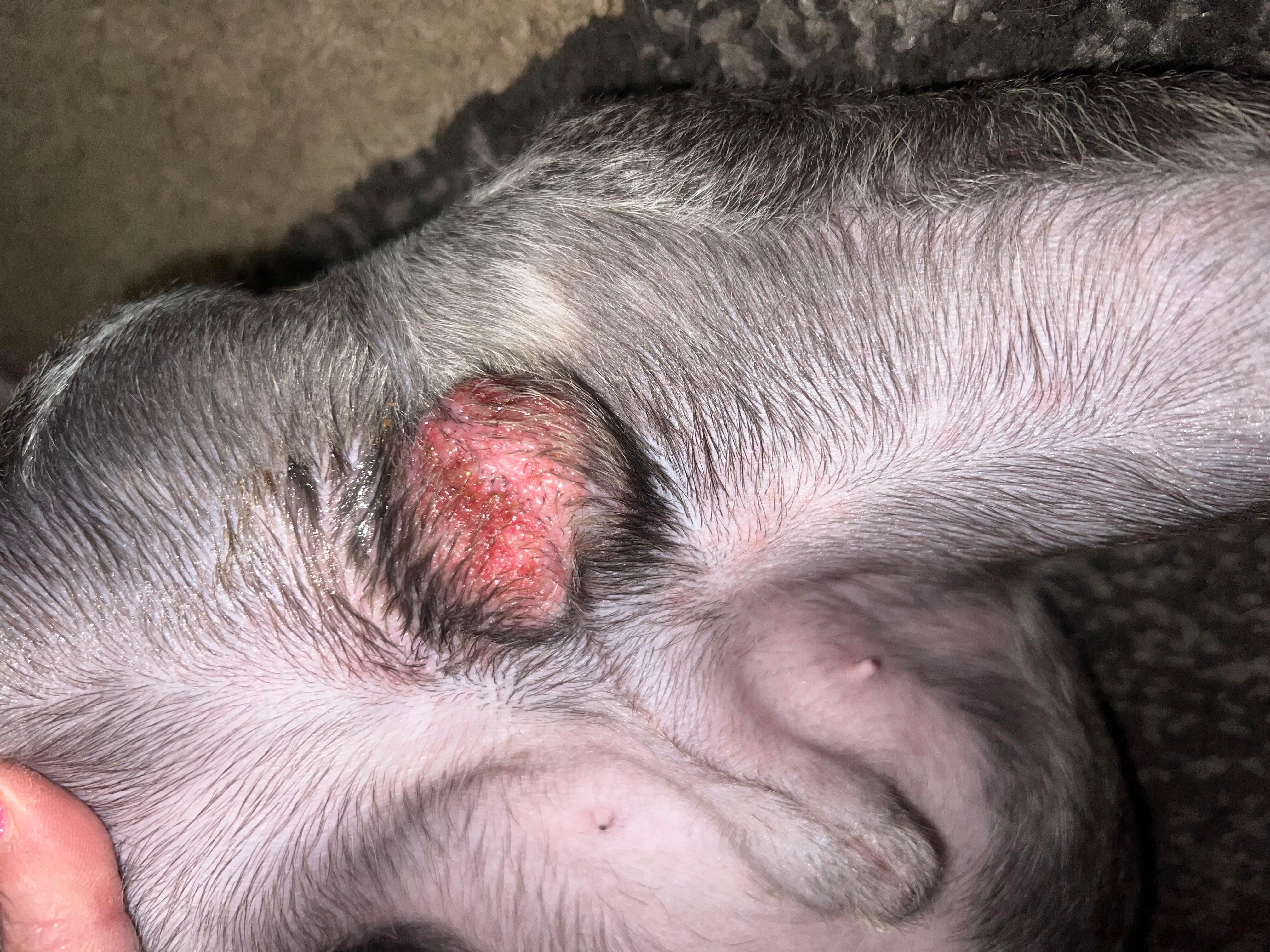 Question details sensitive content