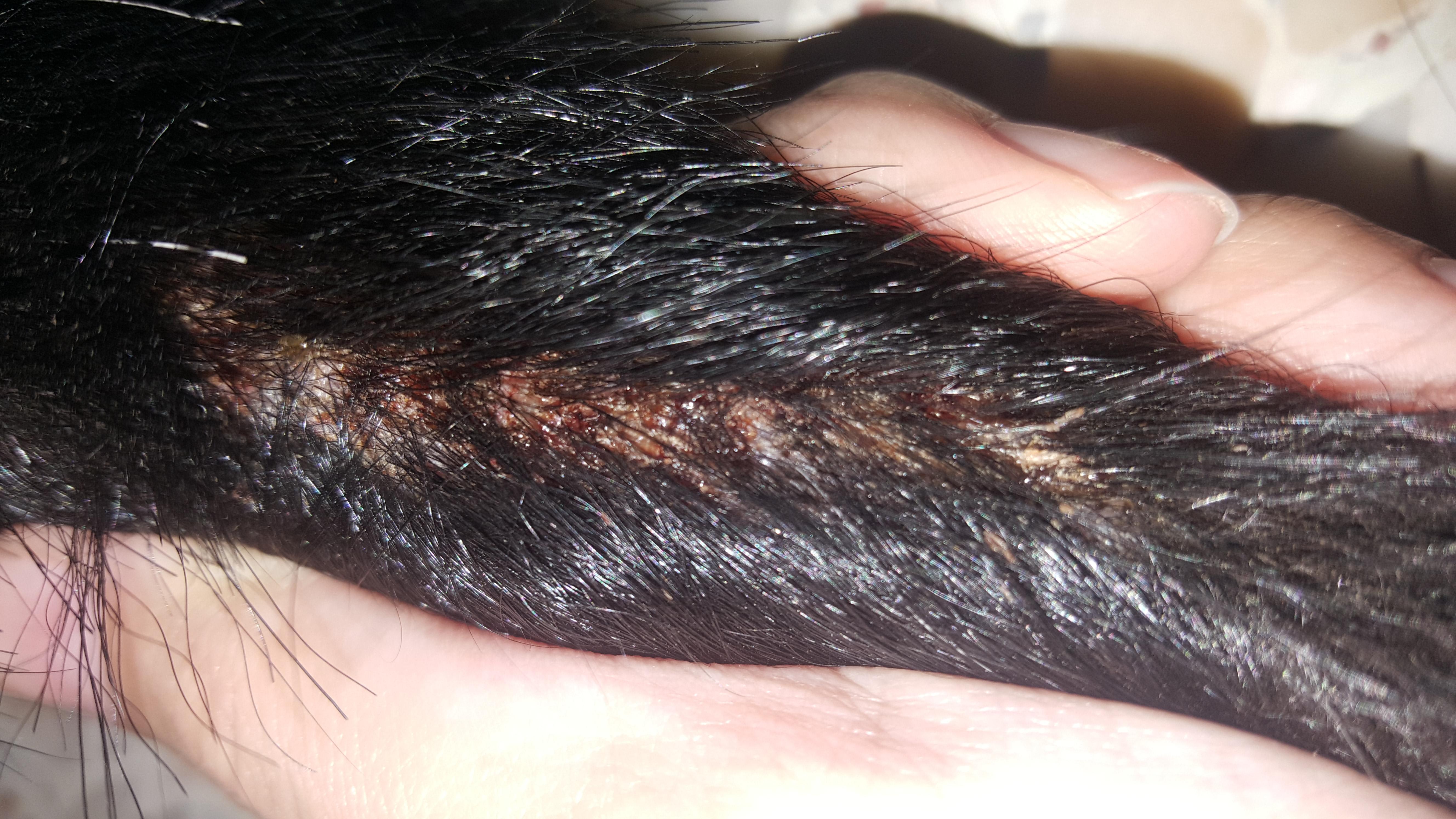 Question details sensitive content