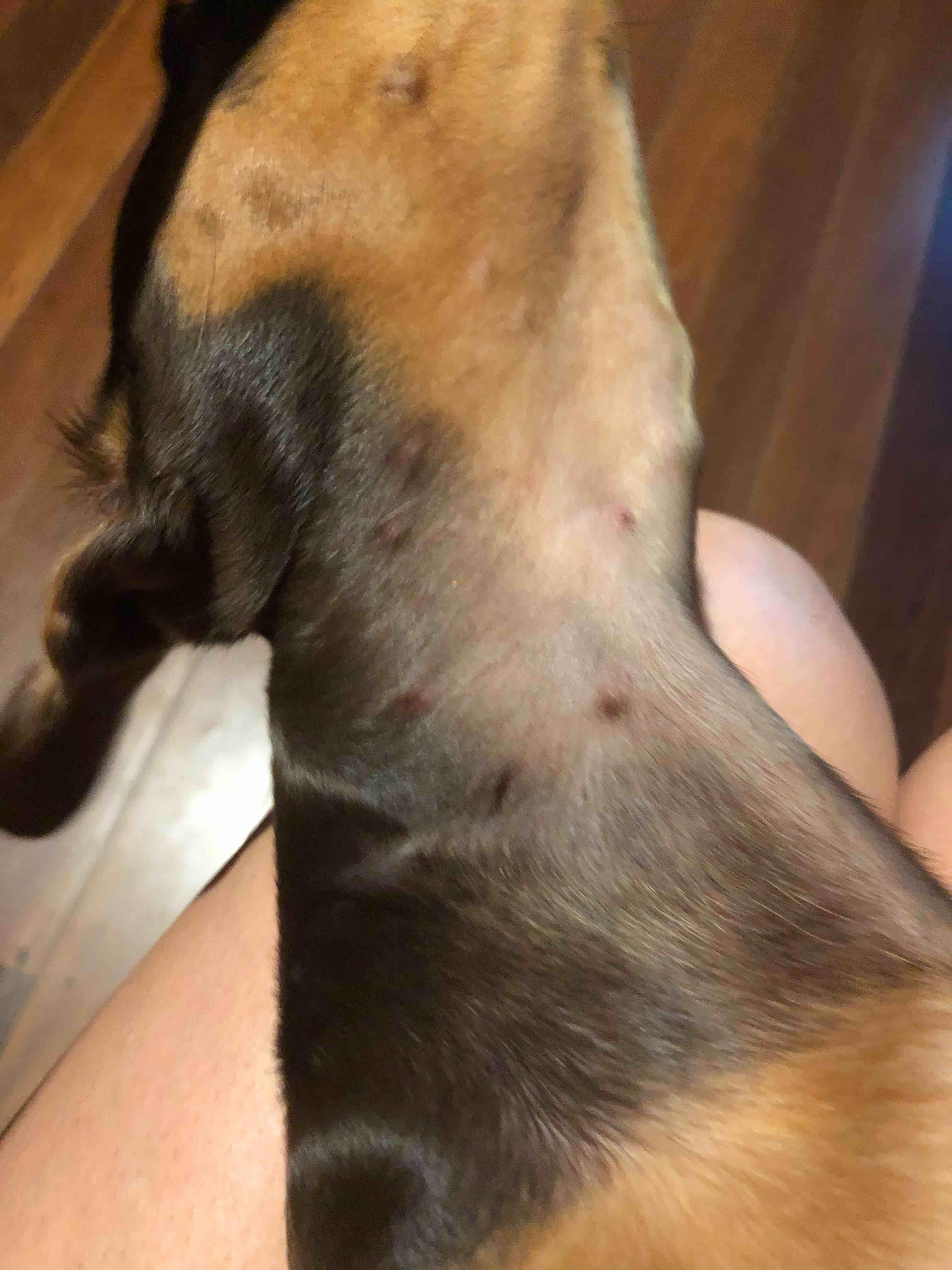 Question details sensitive content