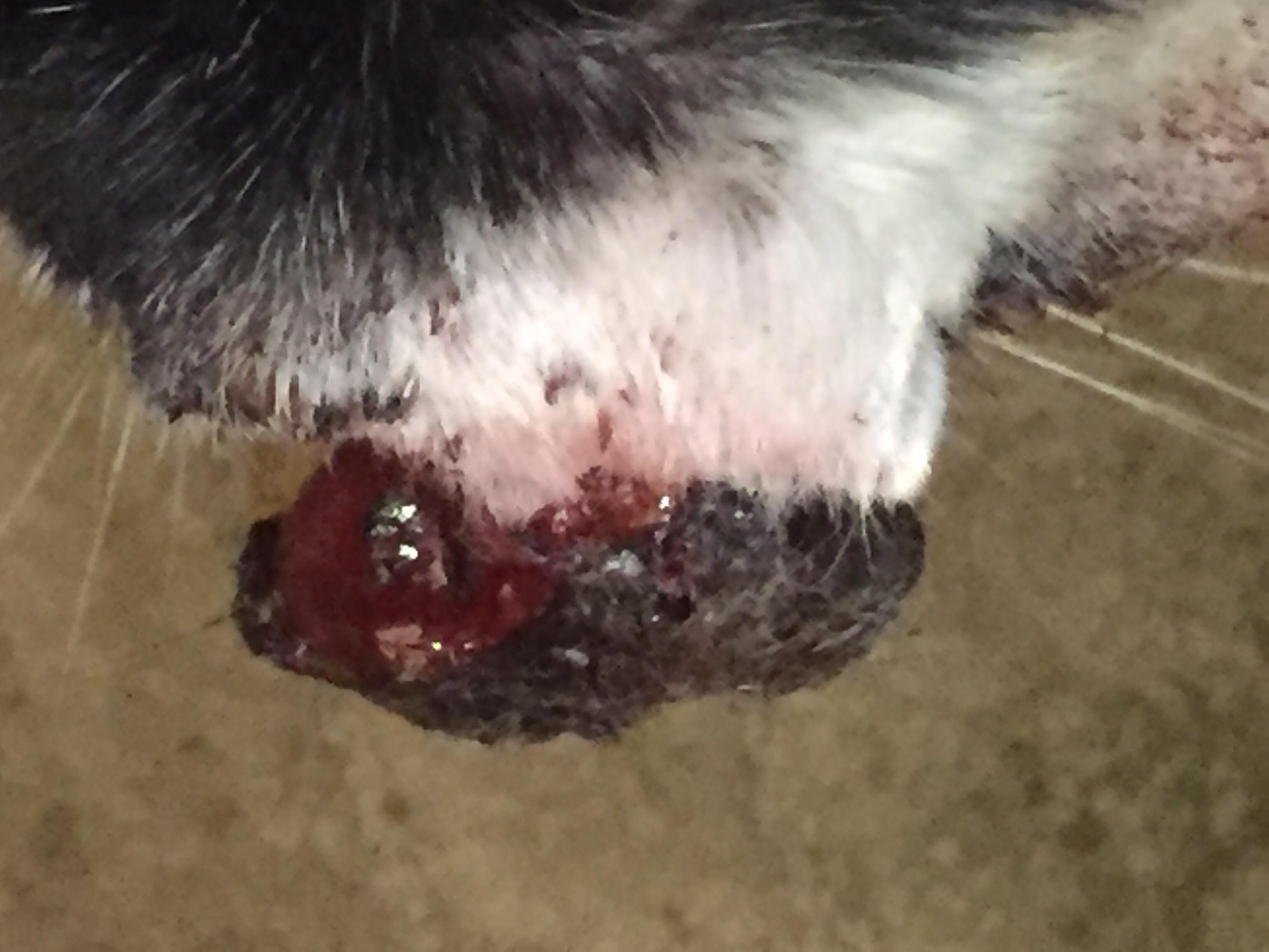 Question details sensitive content