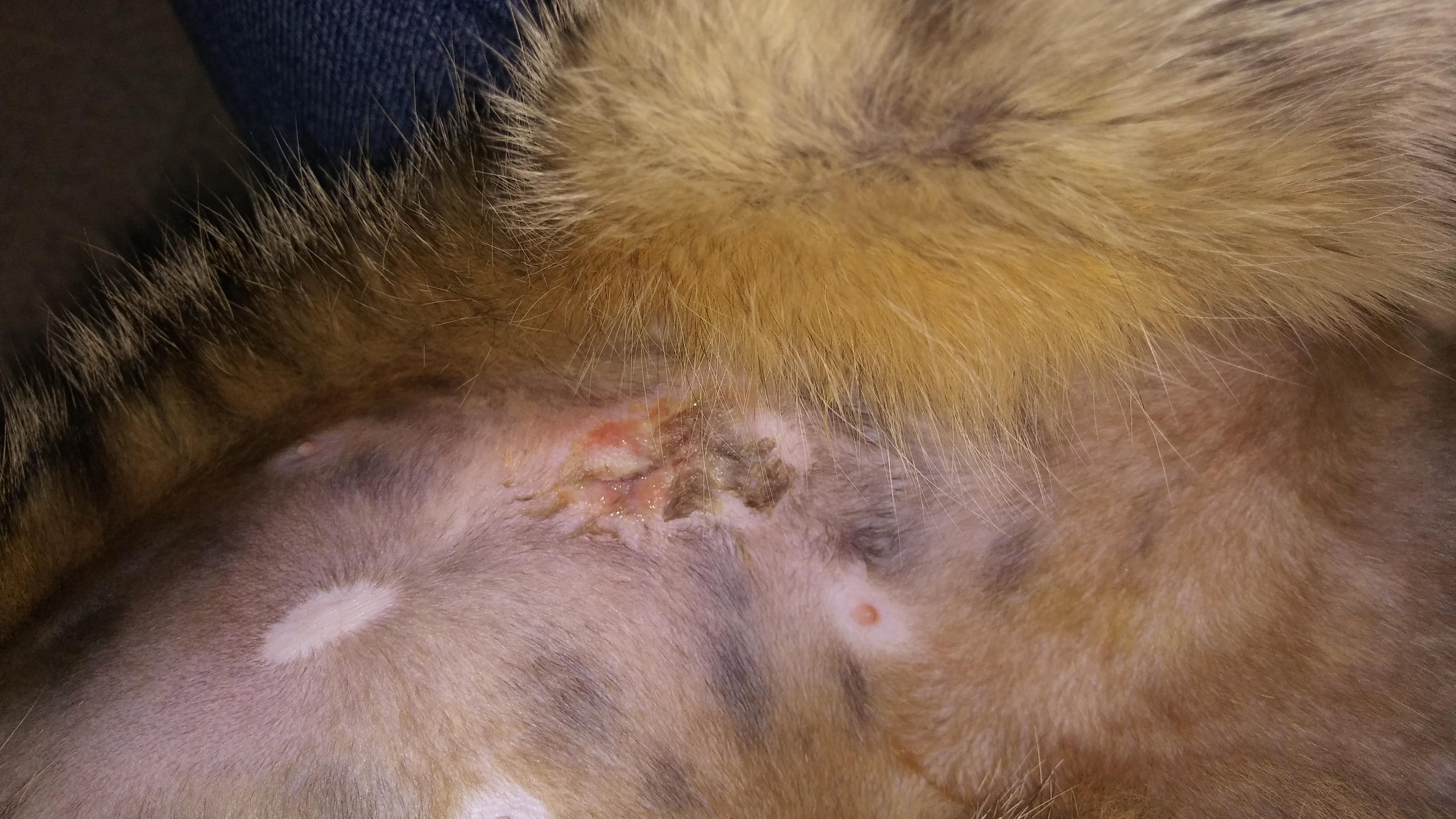 Question details sensitive content